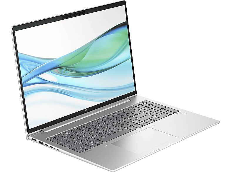 HP - B2B ProBook 465 G11 16 Zoll AMD Ryzen™ 5 7535U 8 GB 256 Radeon™ 660M Windows 11 Pro