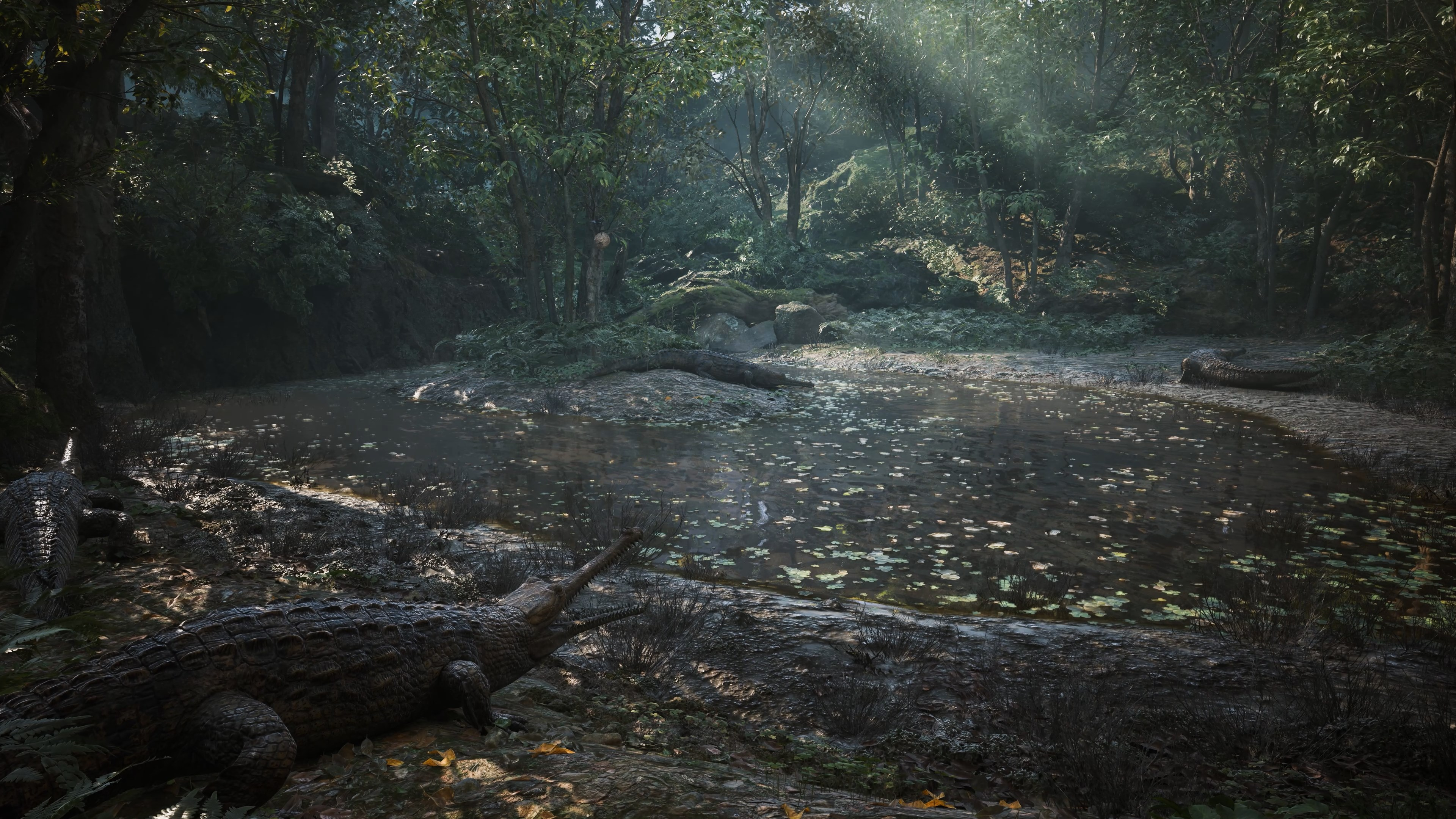 Un crocodile se repose près d'un étang dans une forêt luxuriante. La lumière du soleil traverse les arbres.