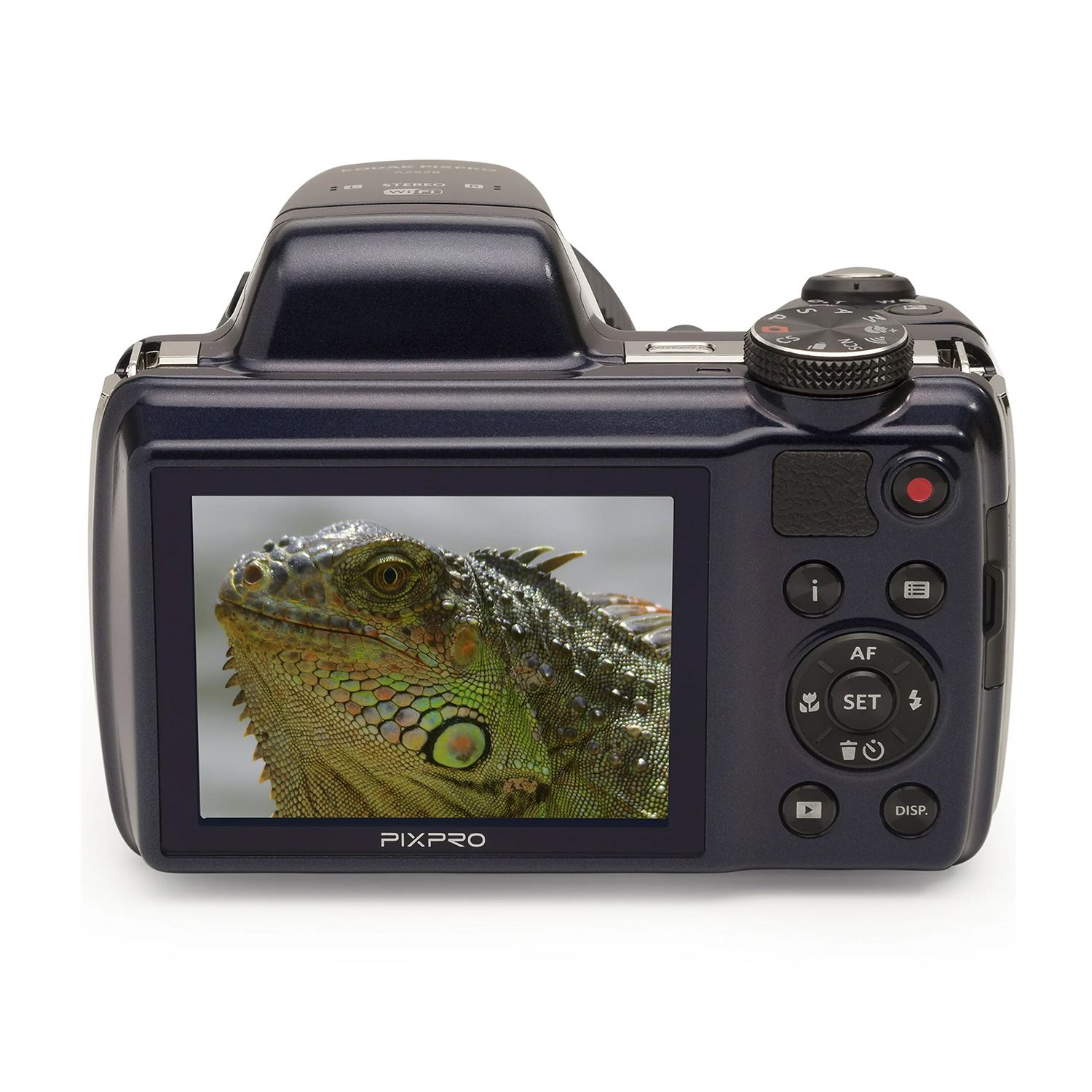 Fotocamera blu scuro con immagine di iguana sullo schermo. Pulsanti e quadrante visibili.