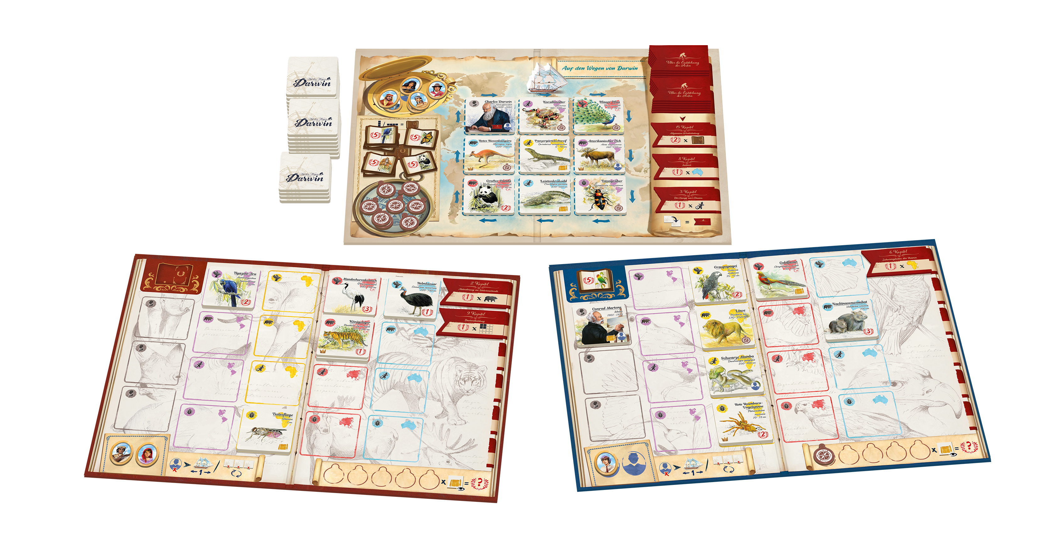 Brettspiel mit Karten, Karte und Spielsteinen, Draufsicht.