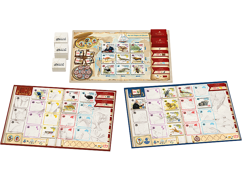 JUST ENTERTAINMENT Auf den Wegen von Darwin Brettspiel Mehrfarbig