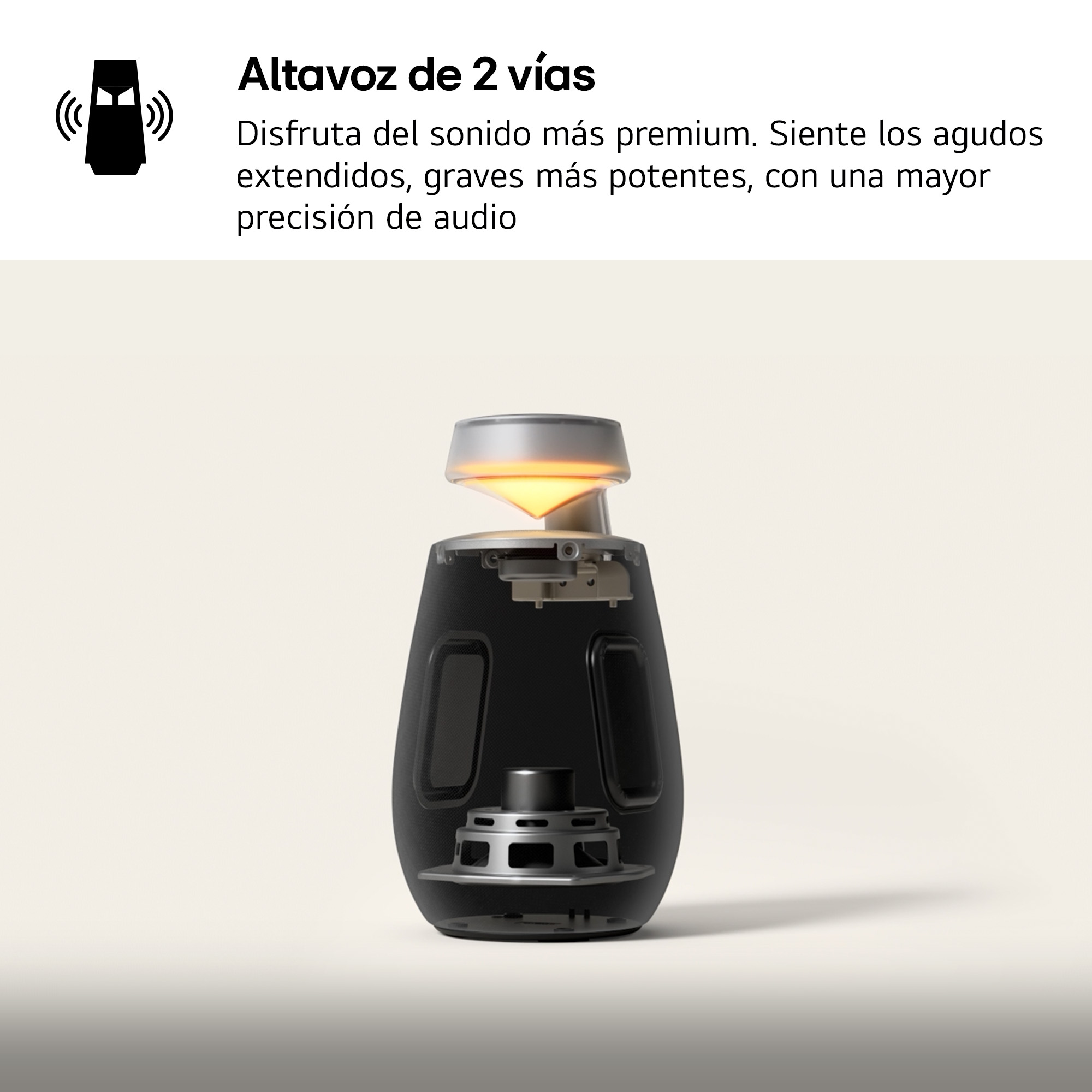 Altavoz con corte que muestra los componentes, con texto en español.