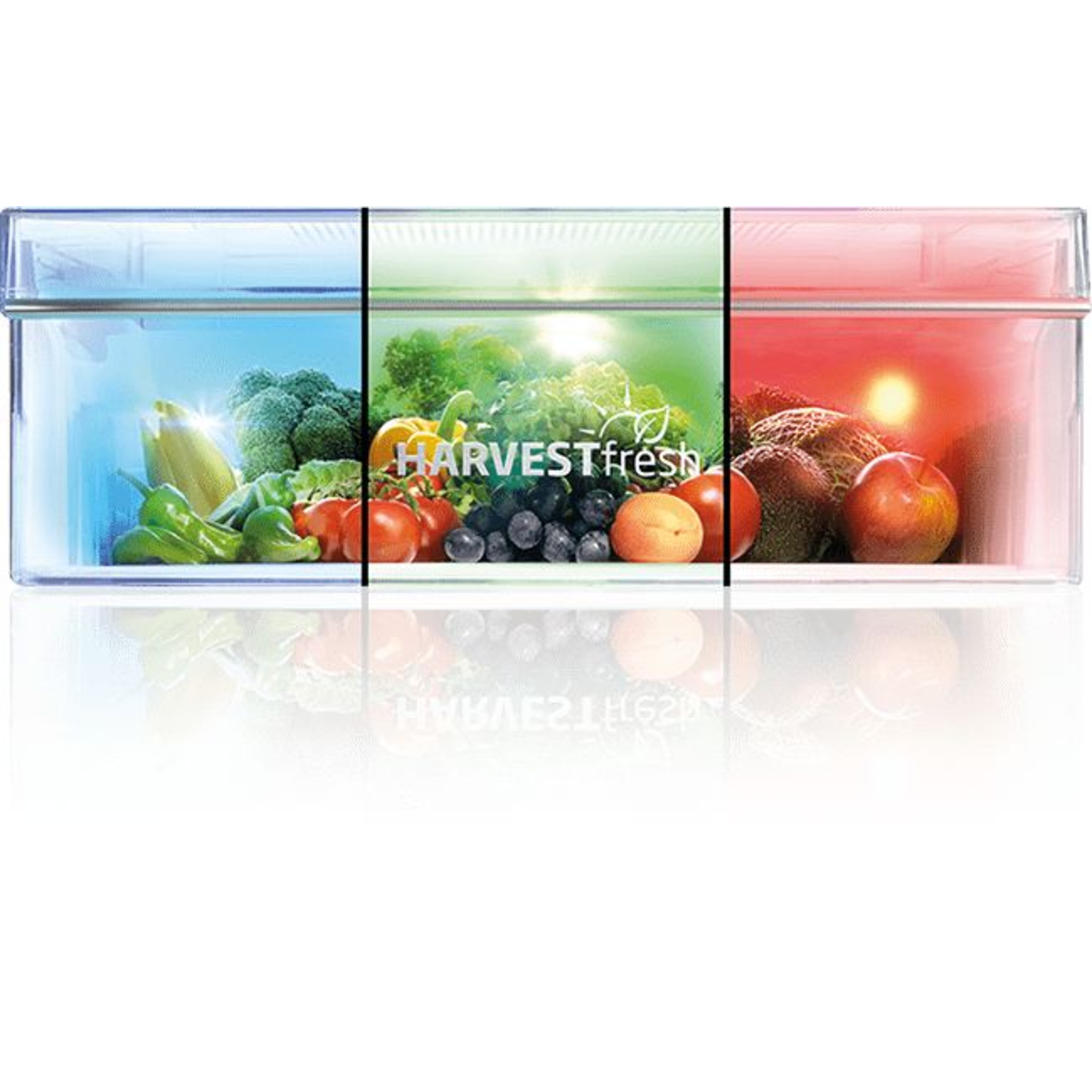 Refrigerator with three colored sections: blue, green, and red. Each section holds different produce.