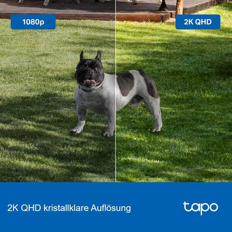 Ein Hund auf Gras, geteilter Bildschirm, der 1080p und 2K QHD vergleicht. Text-Overlay.