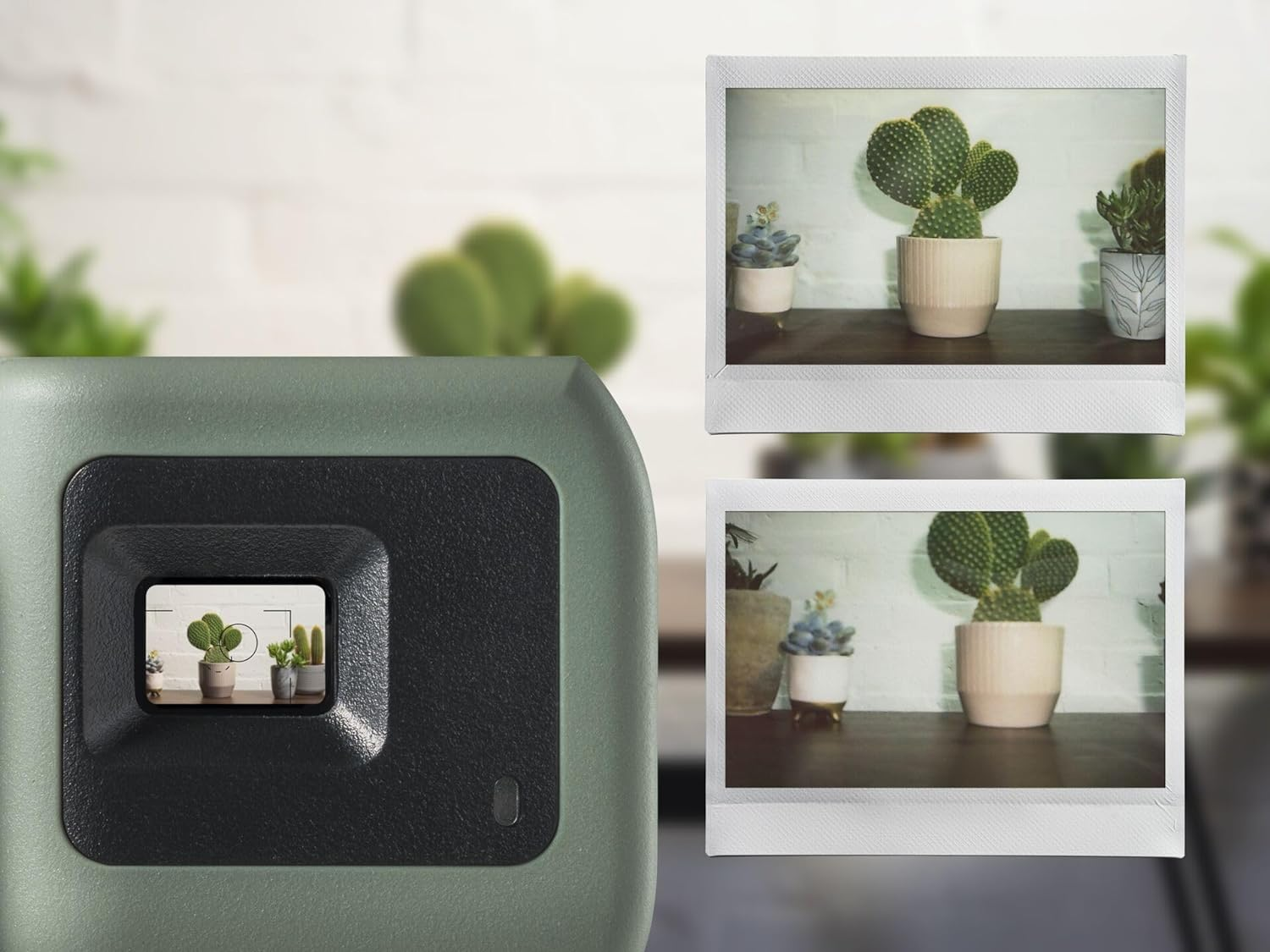Una cámara que muestra una vista previa de una imagen de cactus, con fotos polaroid del mismo cactus.