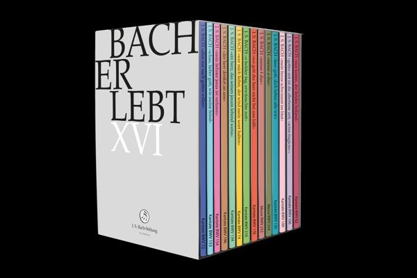 Ein Satz Bücher. Der Titel 'BACH ER LEBT XVI' ist sichtbar, mit schwarzem Hintergrund.