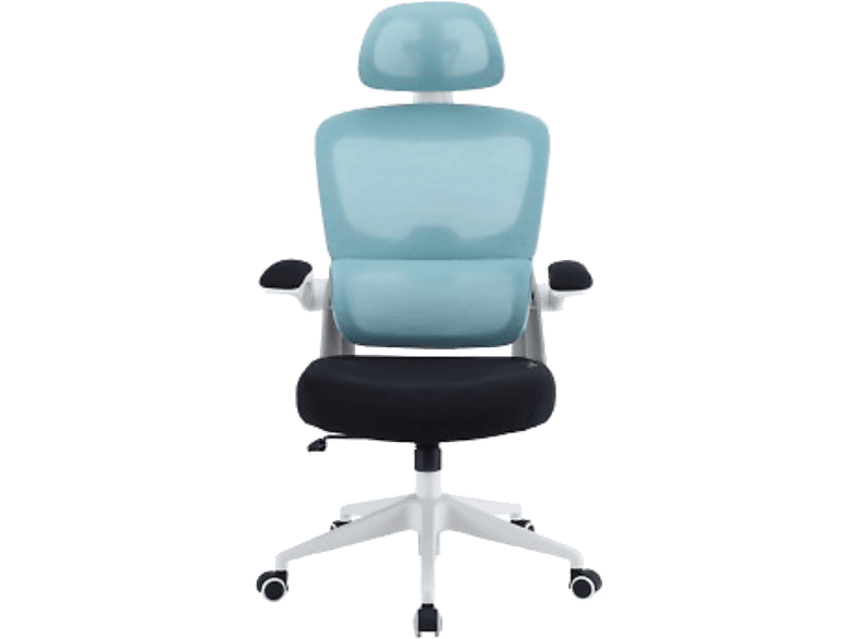 Woxter Ergo GM26-107, 2D (Reposabrazos Abatibles, se mueven arriba y abajo), Carga máxima 120 kg, Azul