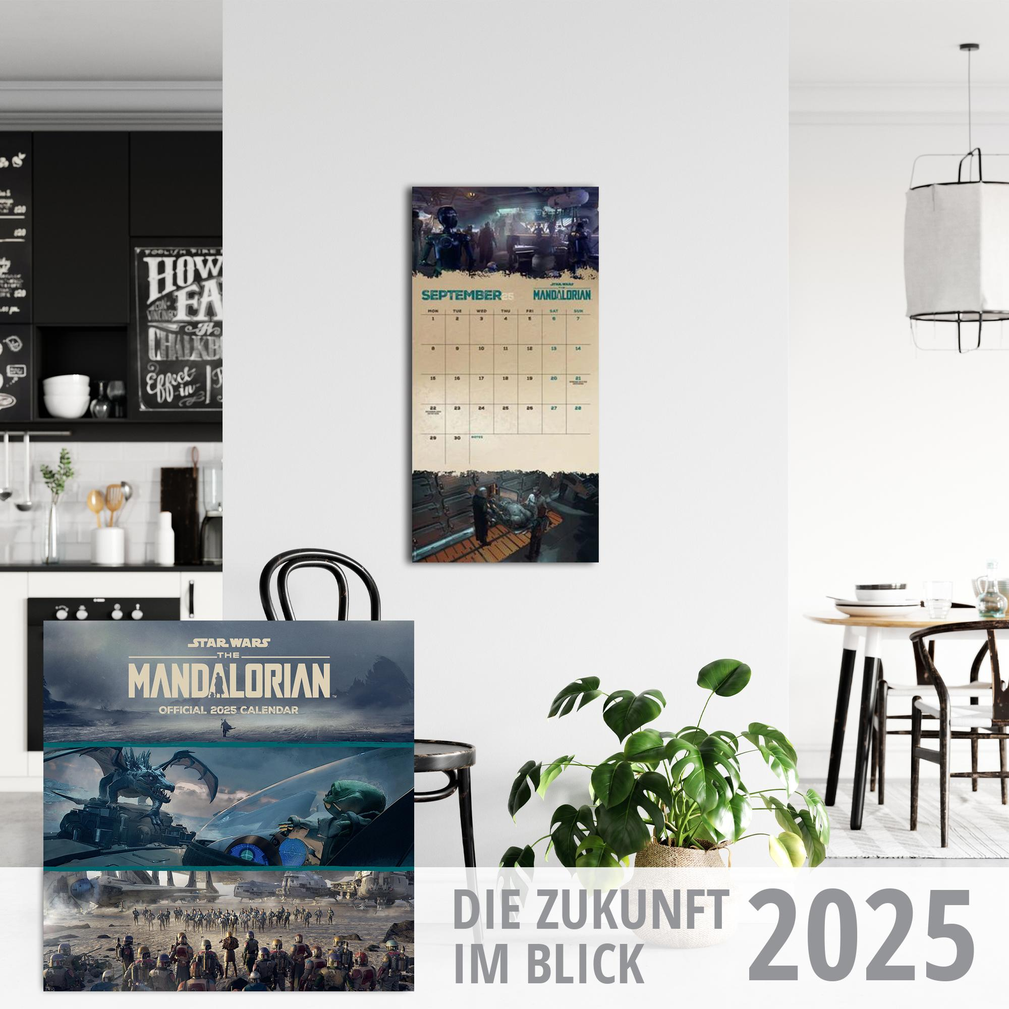Eine Wand mit Kalender und Star Wars Postern, mit Pflanze und Tisch im Vordergrund.