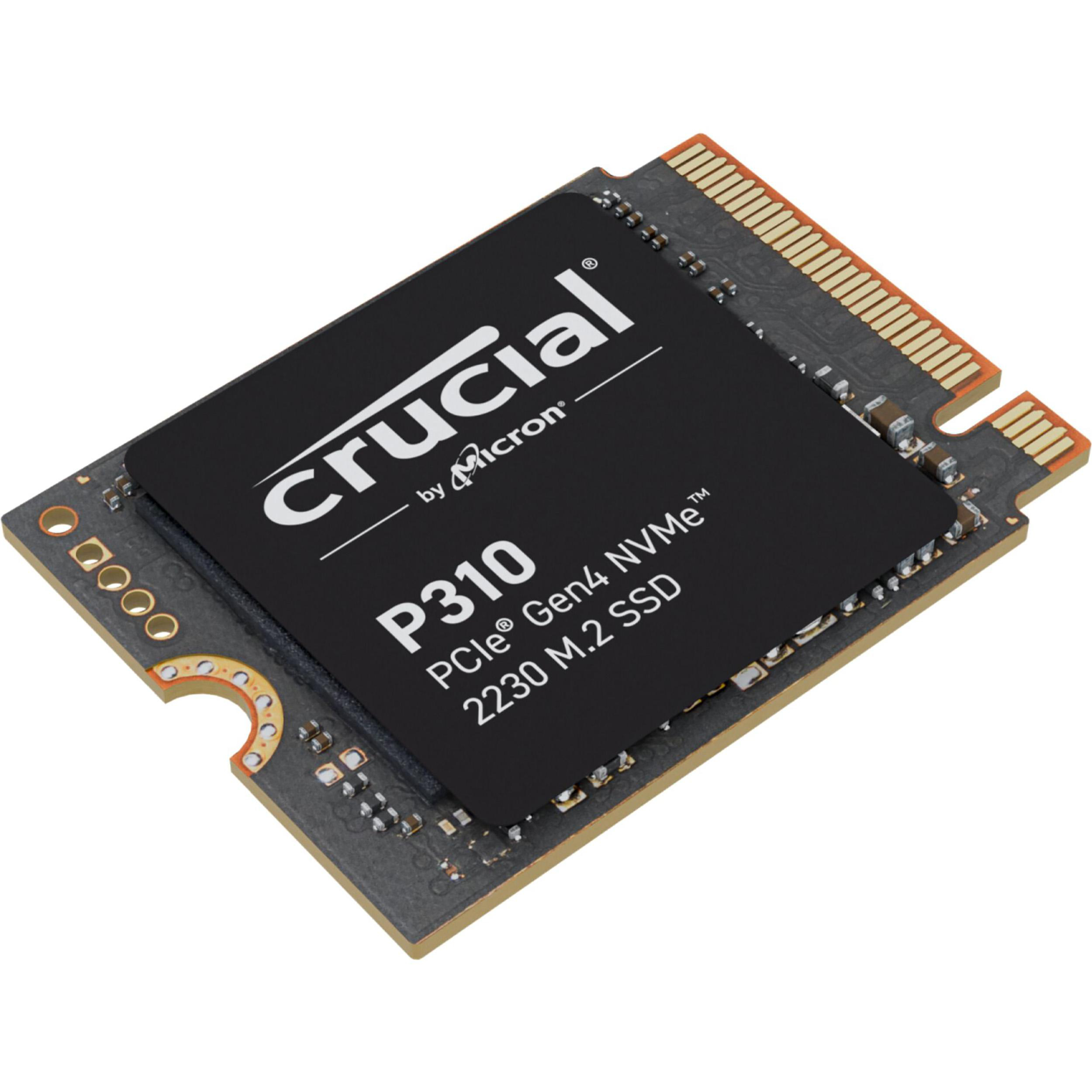 Schwarze SSD mit weißem Crucial-Logo. Sie hat einen goldenen Anschluss und ist auf weißem Hintergrund.