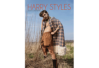 Harry Styles - 2025 Calendar - A3-as naptár