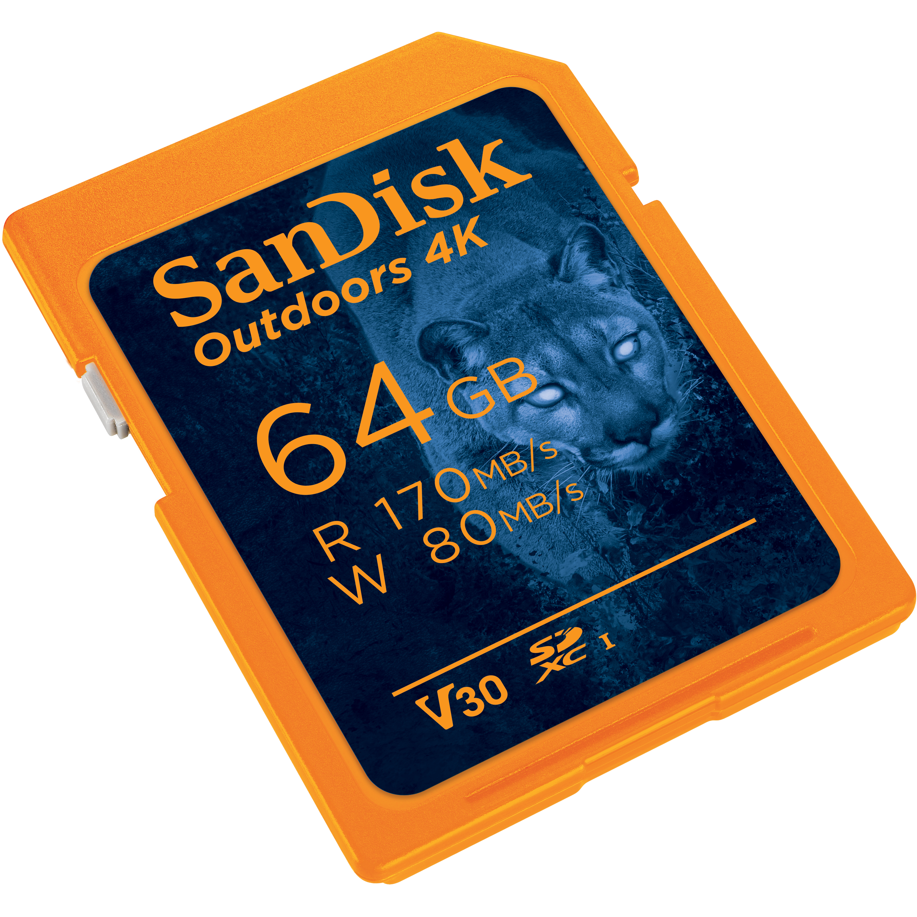 Orangefarbene SanDisk 64GB SD-Karte. Zeigt Kapazität und Lese-/Schreibgeschwindigkeiten. Hat ein Puma-Bild.