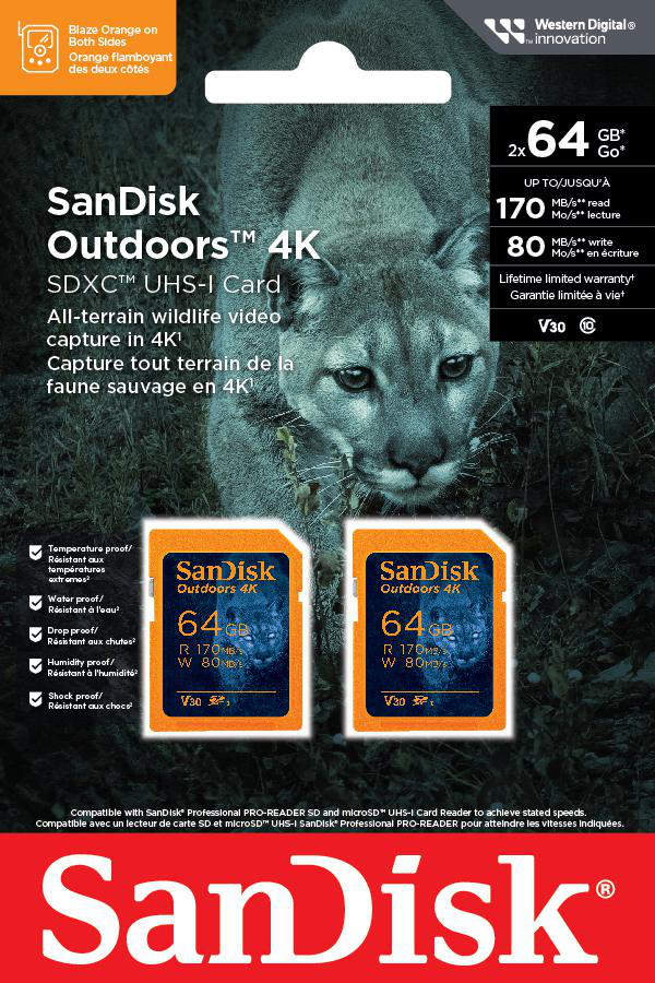 Zwei orangefarbene SanDisk-Speicherkarten mit Puma-Bild, Text. Eine Karte zeigt 64 GB.