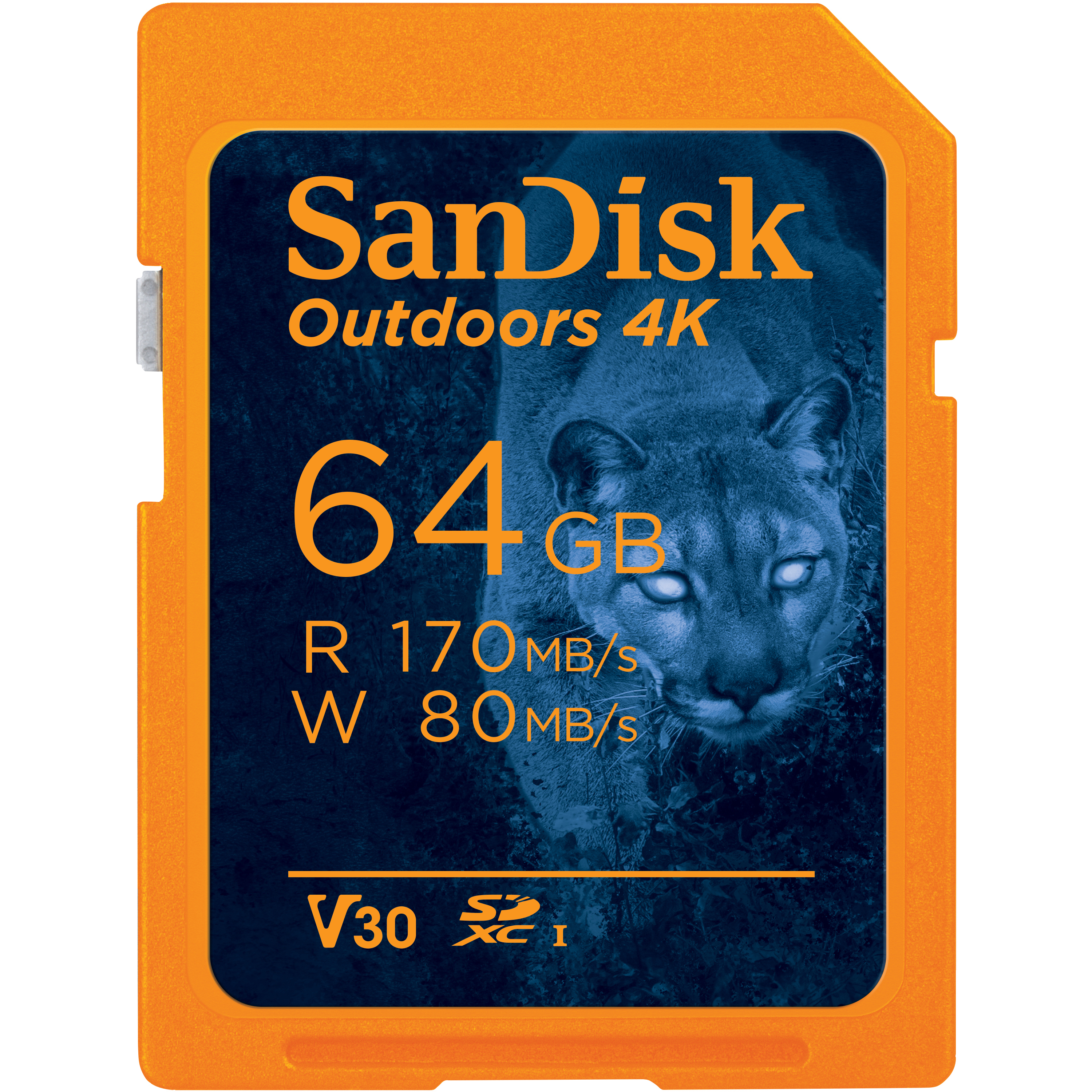 Orangefarbene SD-Karte mit Puma und Text: Outdoors 4K, 64 GB, 170/80 MB/s.