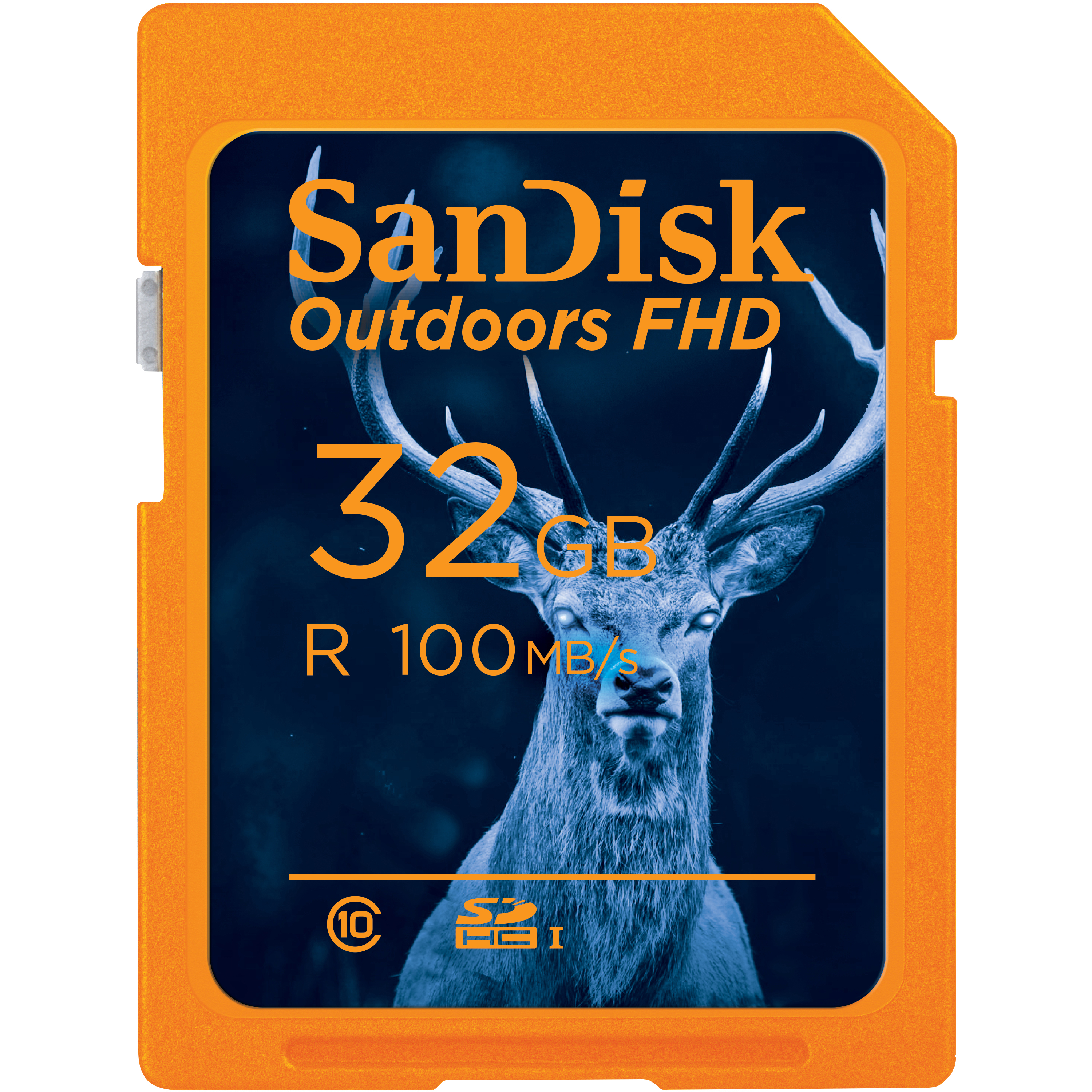 Orangefarbene SanDisk-Speicherkarte mit Hirschbild und Spezifikationen, Nahaufnahme.