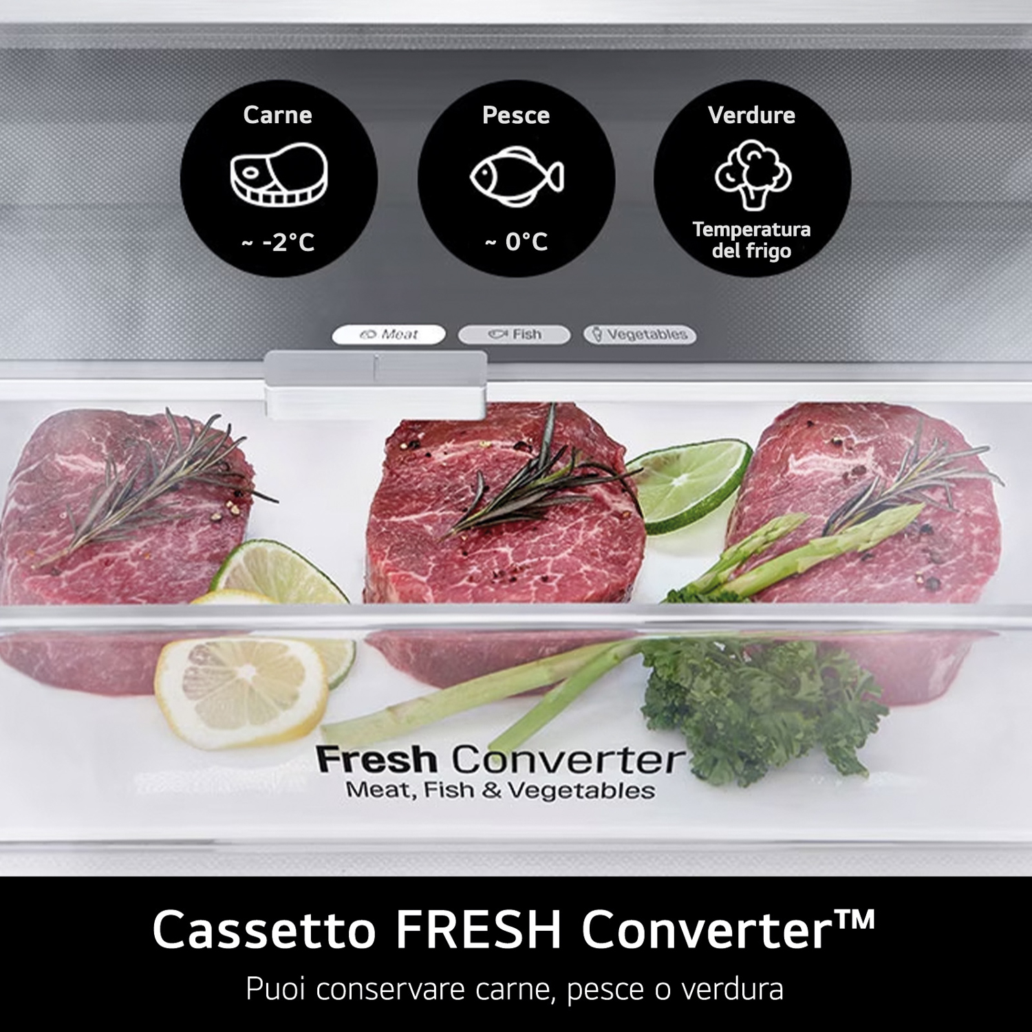 Interno del frigorifero. Carne, pesce e verdure in aree separate.