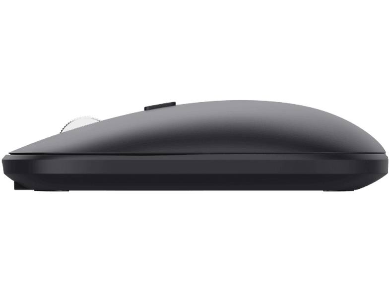 Vista 3