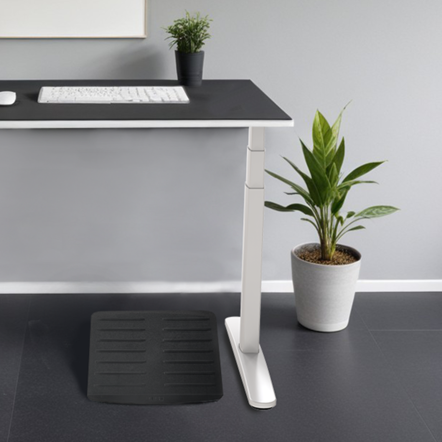 Standing desk with a plant and a foot rest. A keyboard and mouse are on the desk. The walls are gray.