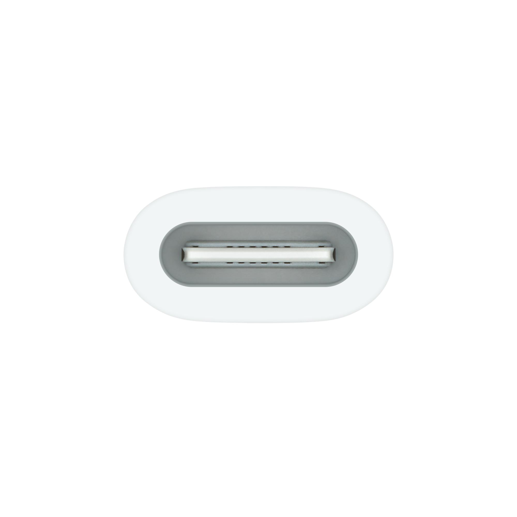 Weißer USB-C-Anschluss. Ovale Form mit grauem Innenraum und einer Reihe kleiner Linien. Weißer Hintergrund.