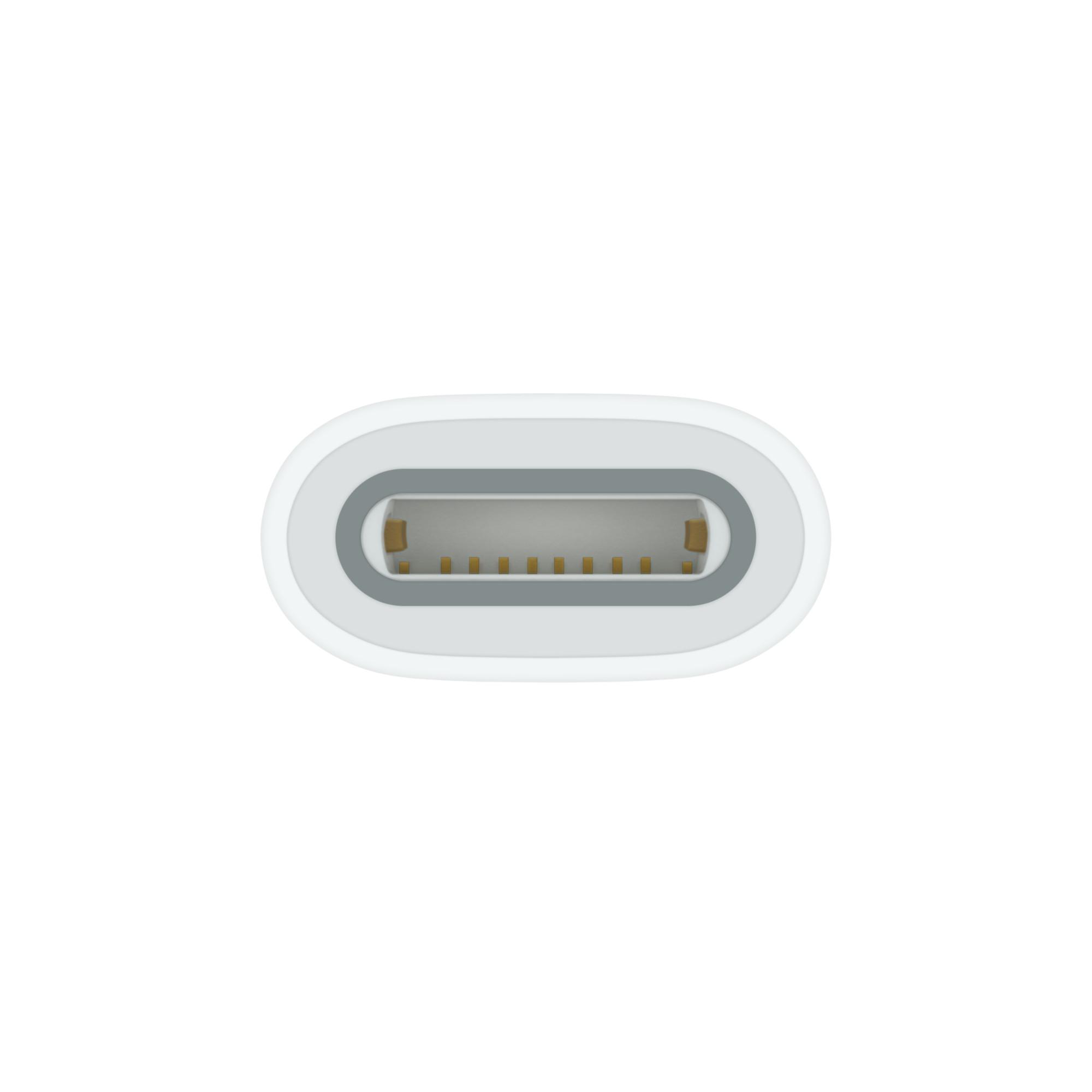 Nahaufnahme eines weißen USB-C-Anschlusses mit goldfarbenen Pins.