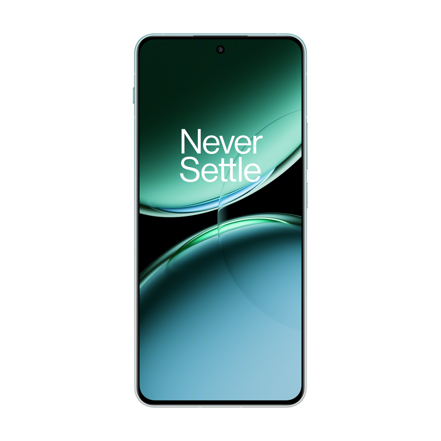 Oneplus Nord 4 - 256 Gb Groen afbeelding
