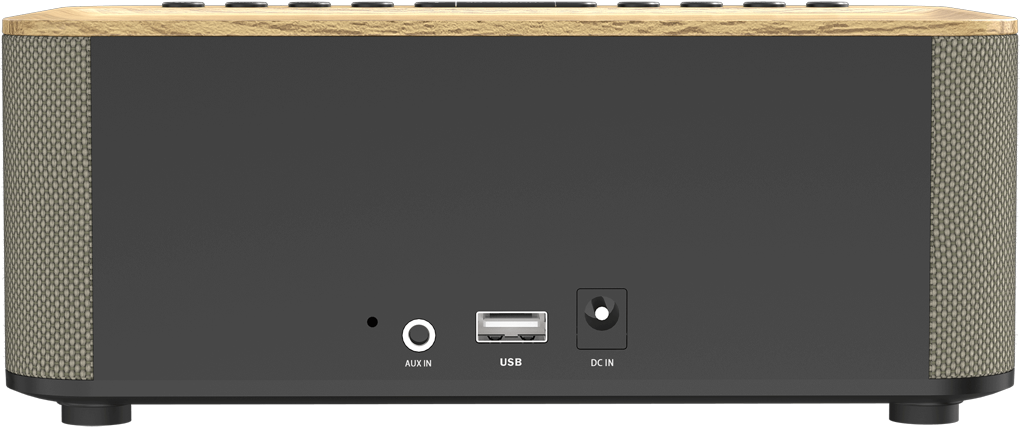 Retro di un altoparlante con porte aux in, usb e DC in.