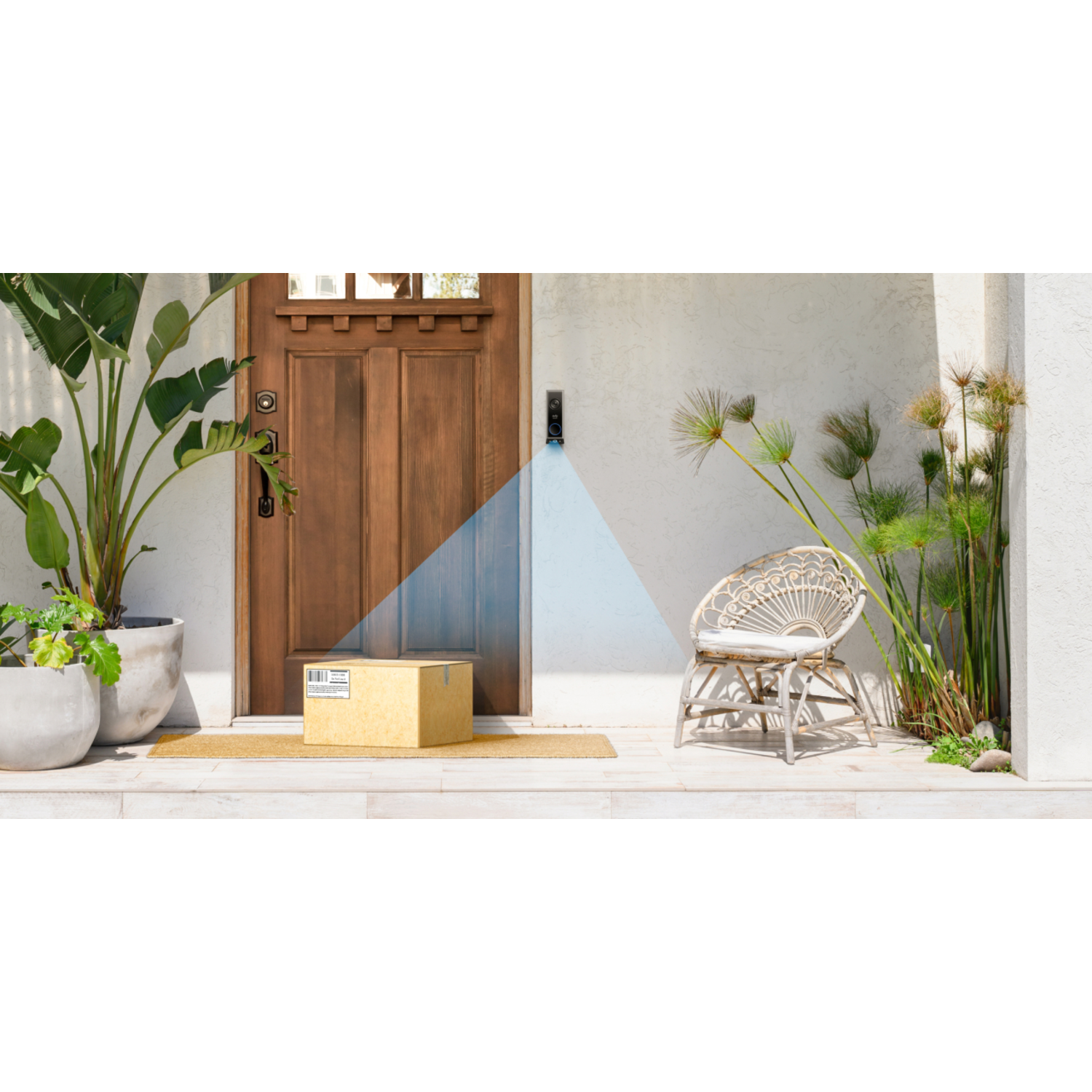 Doorbell on a wall, a package on the ground, and plants on each side.