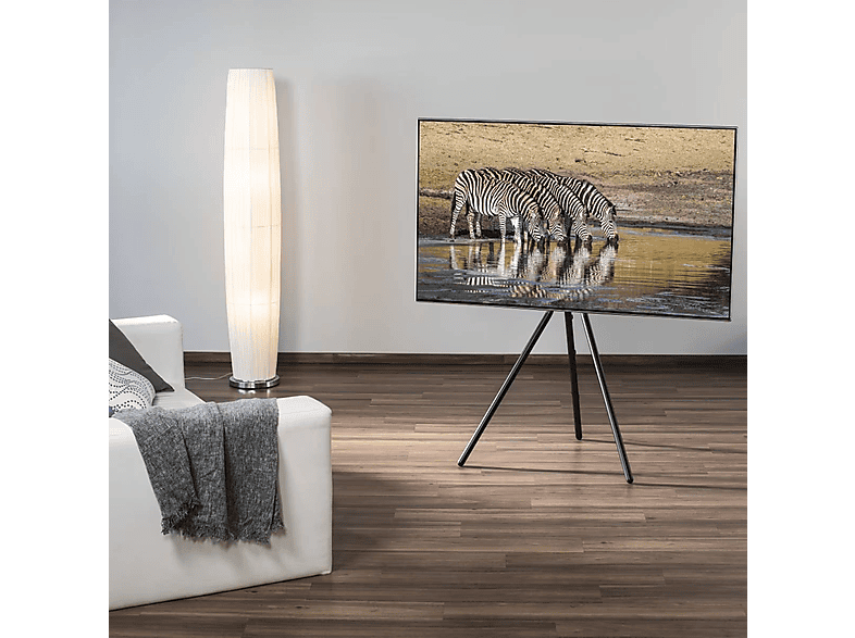 Vista 2