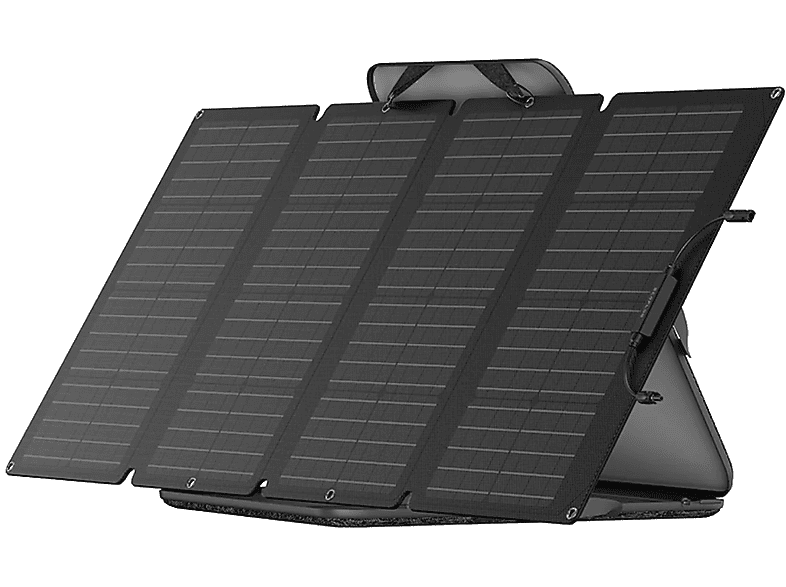 Pannello Solare EcoFlow Pannello Solare 160W