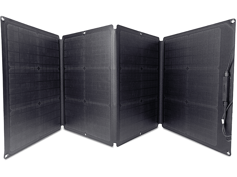 Pannello Solare EcoFlow Pannello Solare 110W