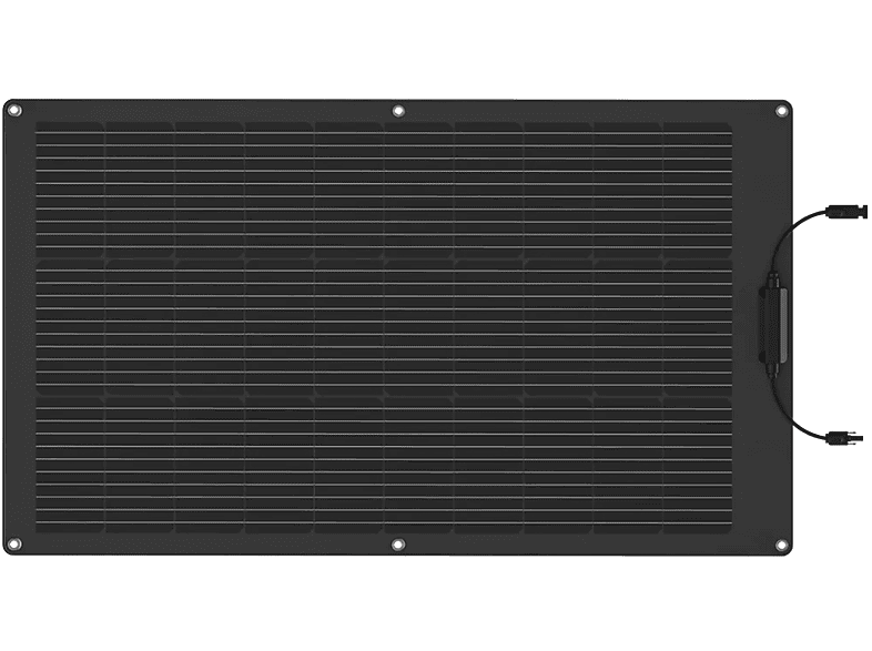 Pannello Solare EcoFlow Pannello Solare 100W Flex