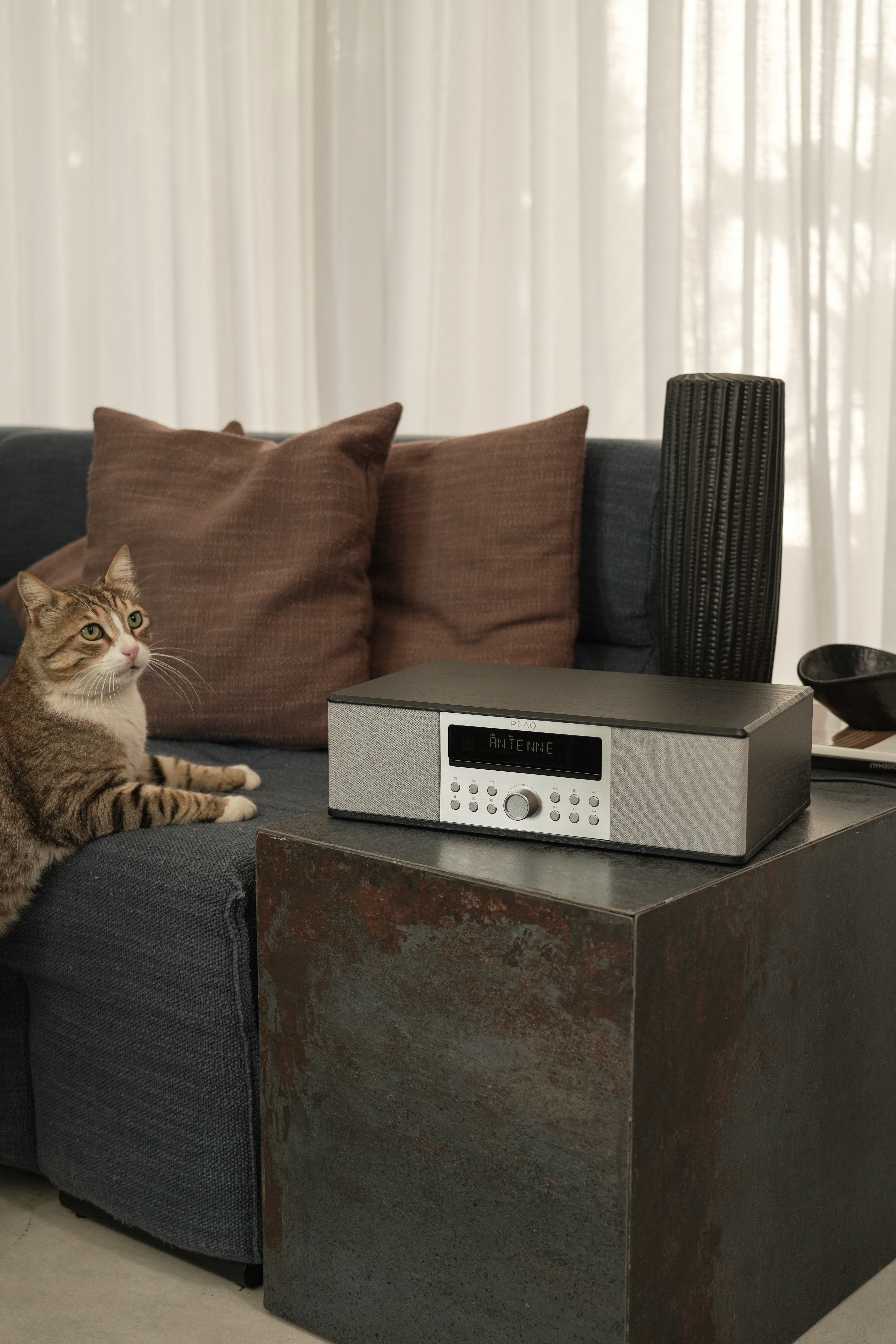 Un chat sur un canapé regardant une radio sur une table d'appoint.