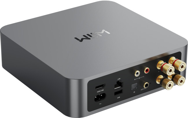 Ricevitore audio argento con varie porte di ingresso/uscita e il logo Wiim.