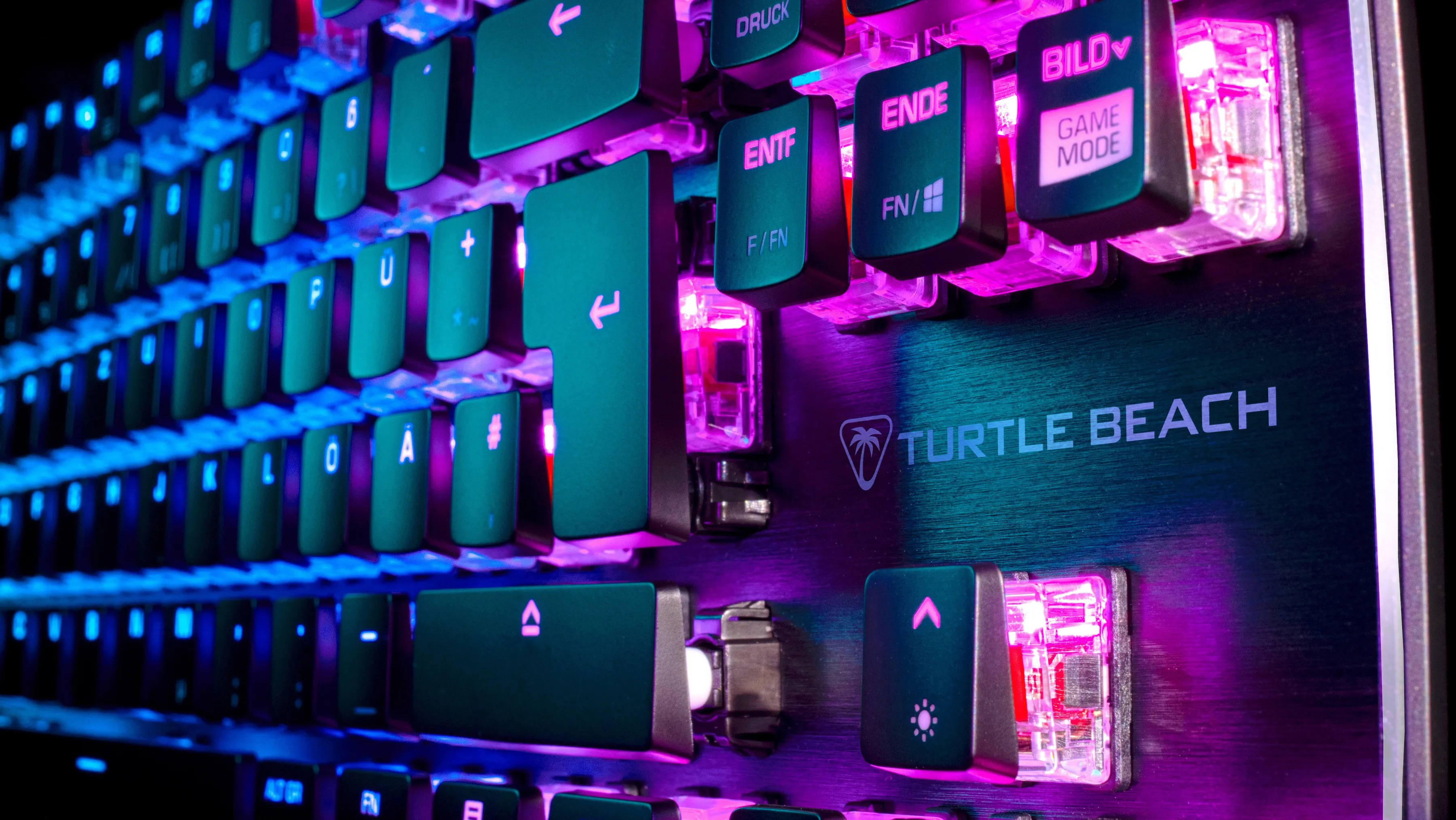 Gros plan d'un clavier gaming avec touches éclairées, avec le logo Turtle Beach.