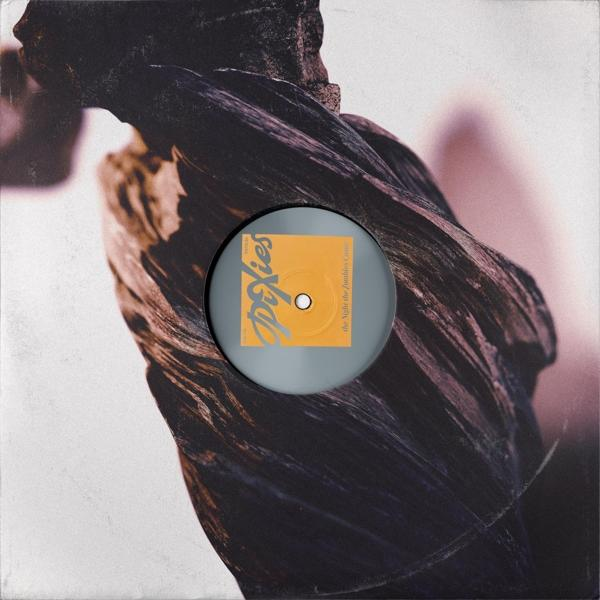Vinyle, Pixies, The Night The Jumbos Came, sur un fond texturé en bois.