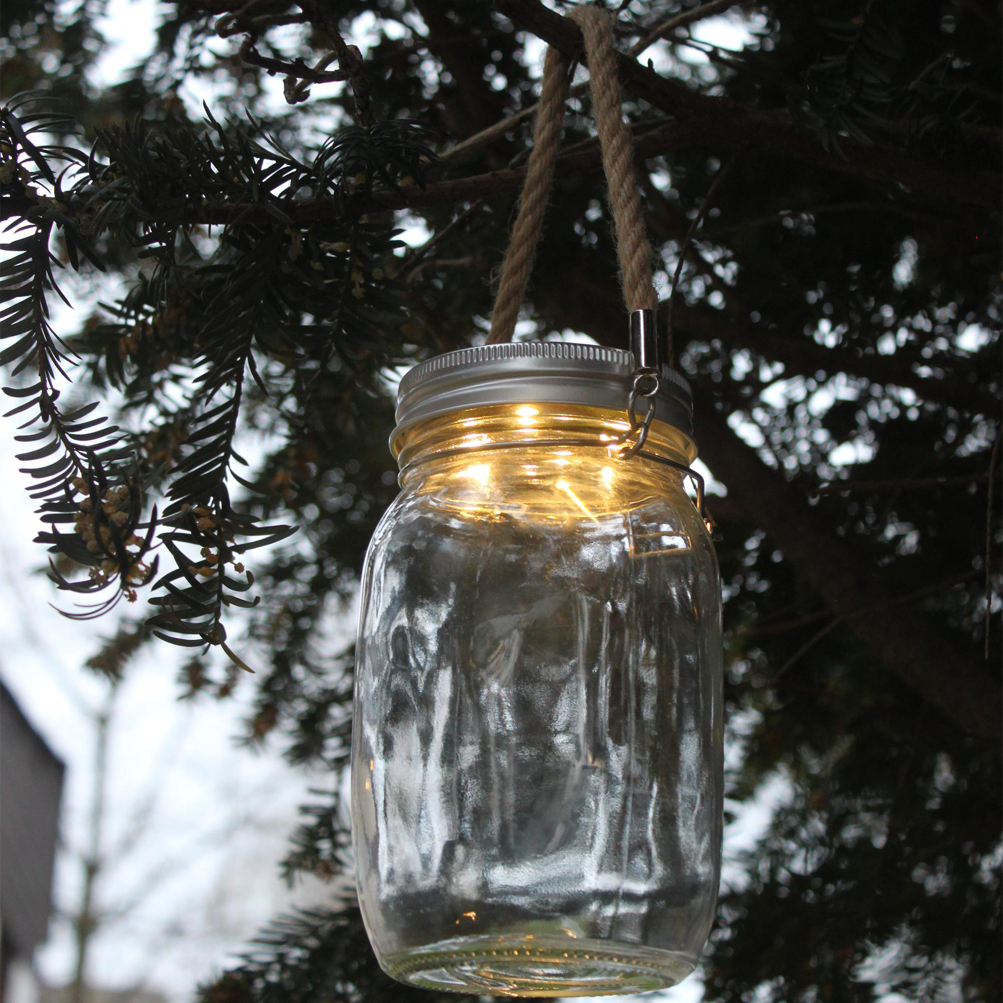 Glas mit Lichterketten, die an einem Ast hängen.