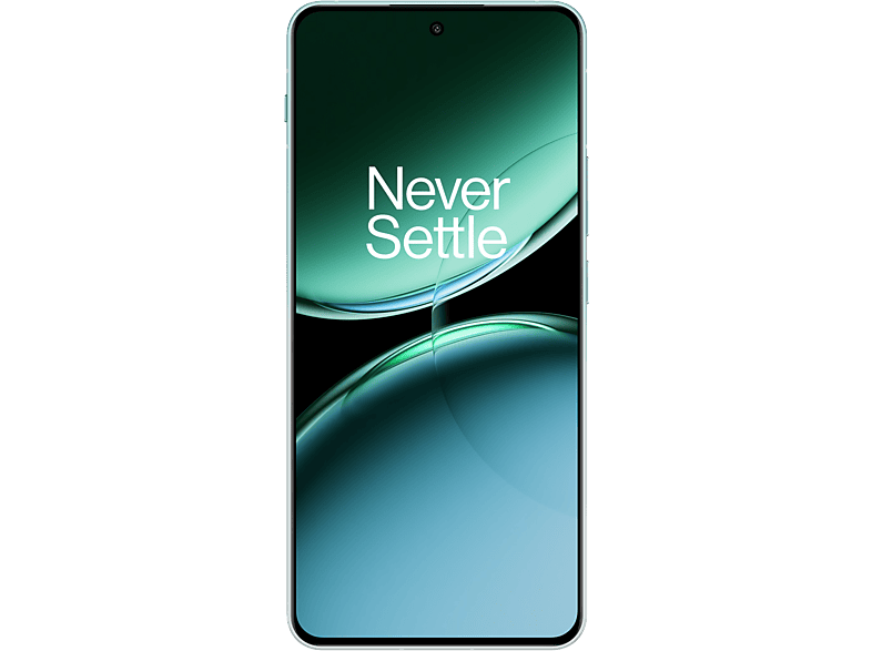 Oneplus Smartphone Nord 4 256gb - 5g Oasis Green