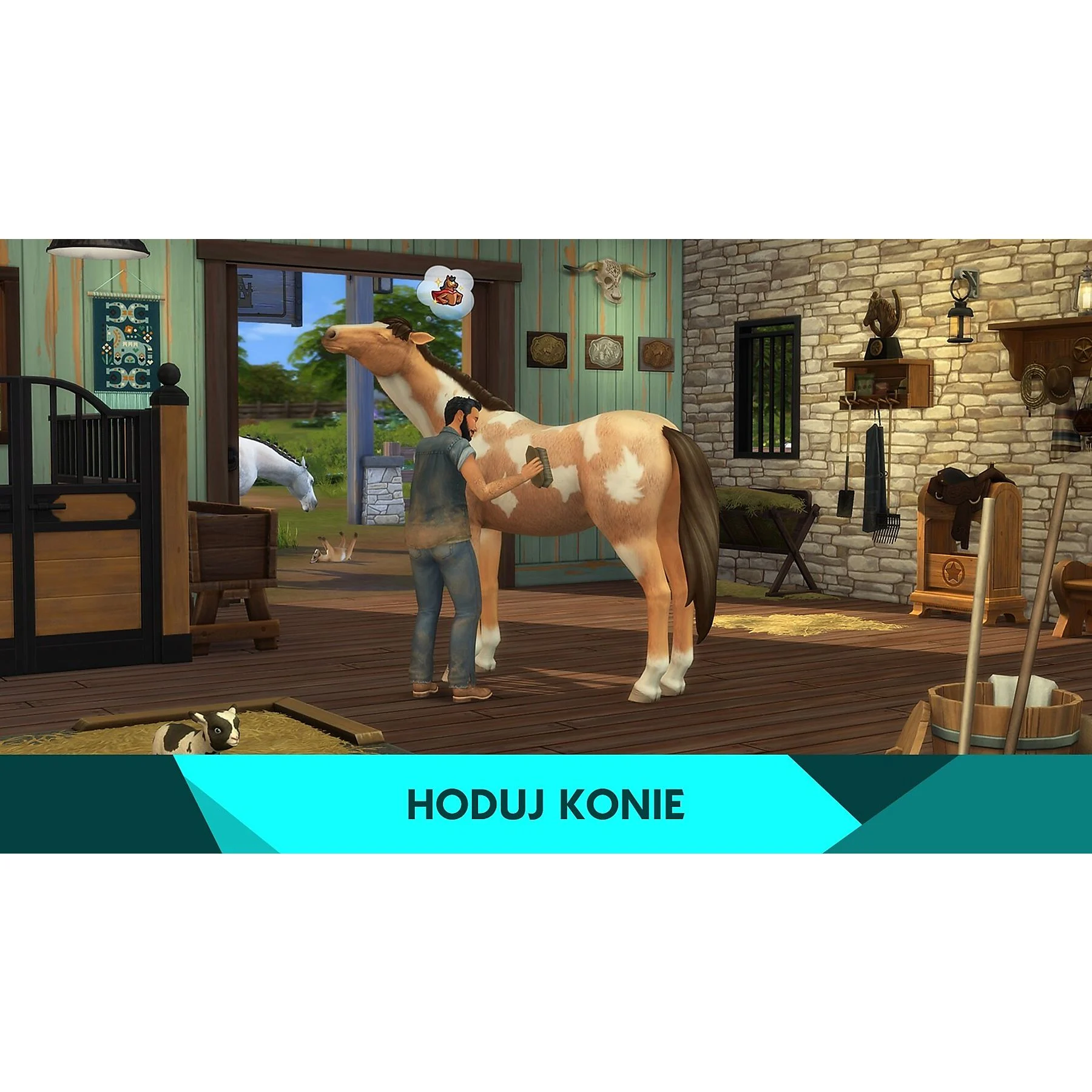 Osoba szczotkująca konia w stajni. Tekst u dołu: HODUJ KONIE (Hoduj konie).