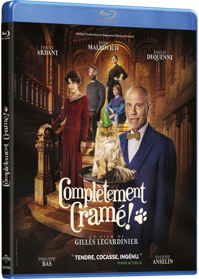 Couverture Blu-ray : Un chat avec un chapeau de fête sur un plateau, servi par des gens dans une maison.