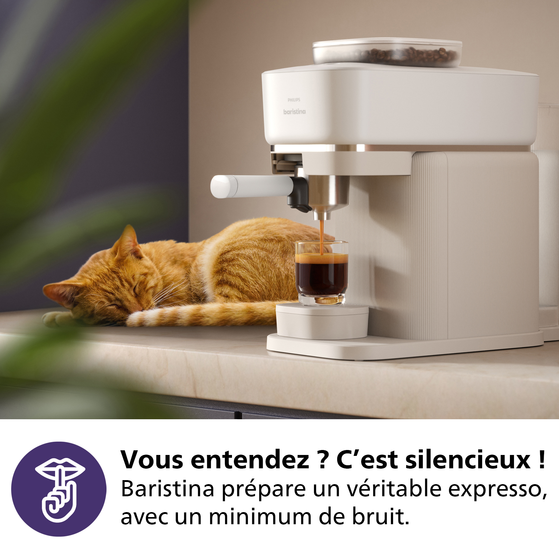 Une machine à expresso blanche avec un chat orange endormi à proximité et du texte en français.