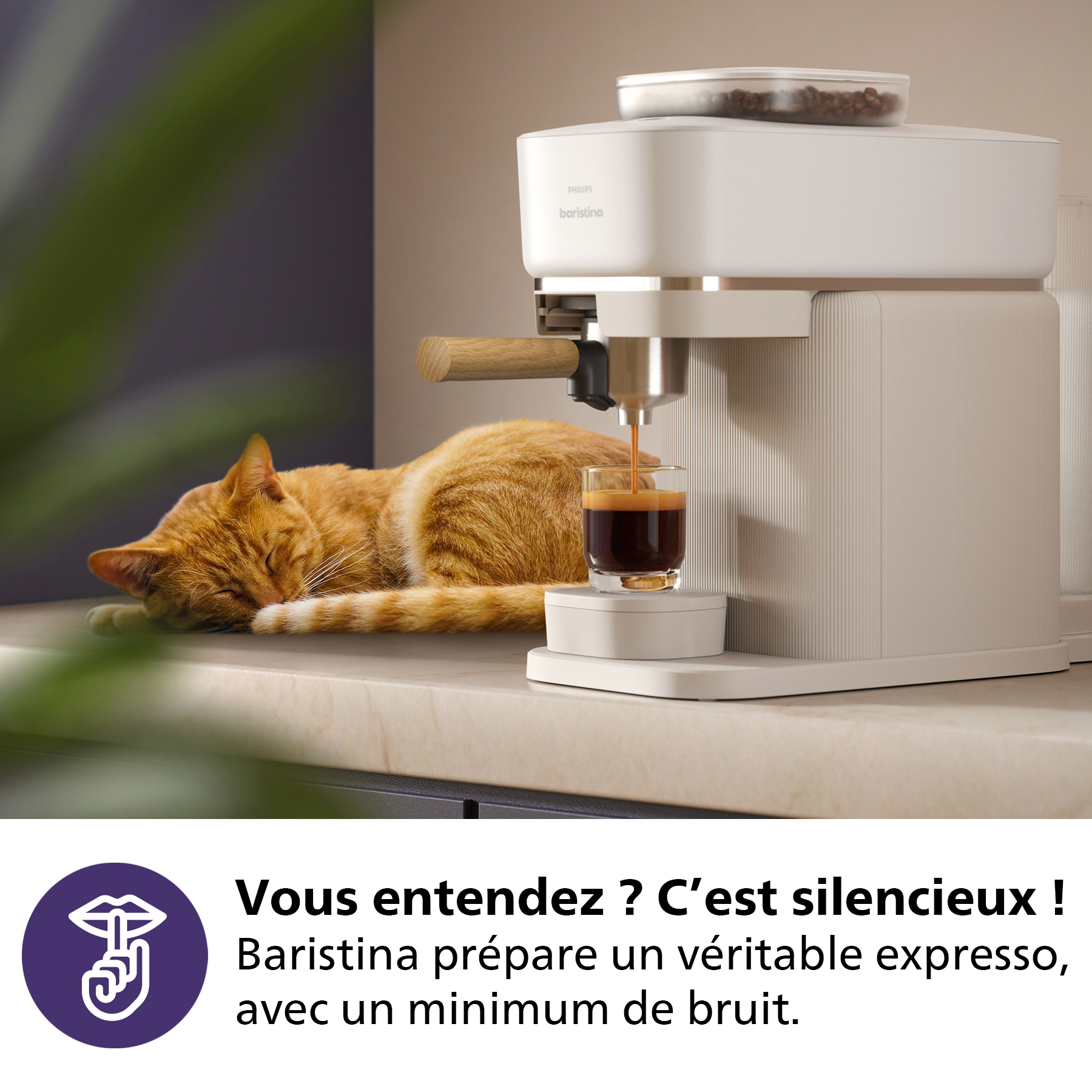 Une machine à expresso blanche versant du café dans un verre, avec un chat dormant à proximité.