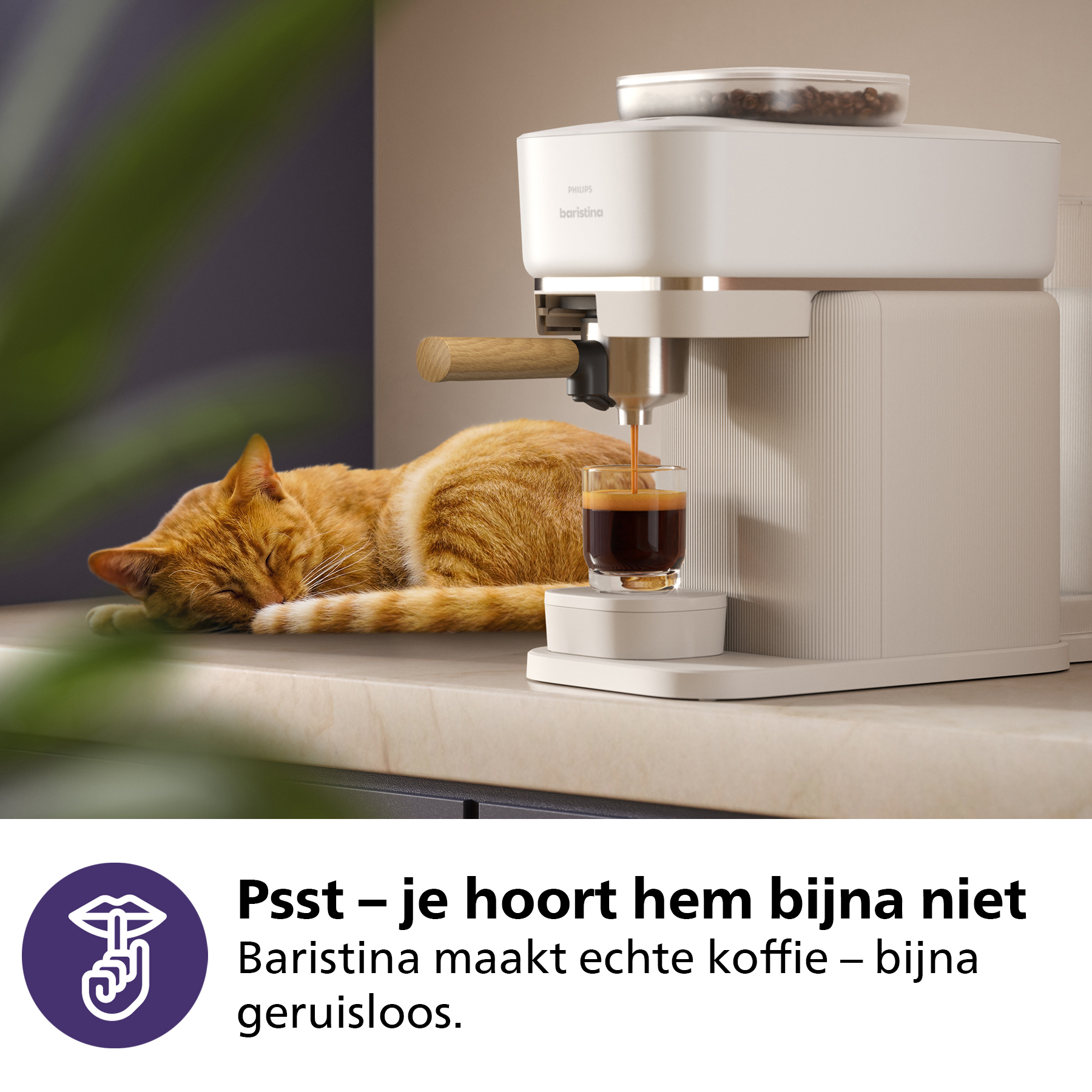 A white coffee machine with a cat lying next to it. Text in Dutch.