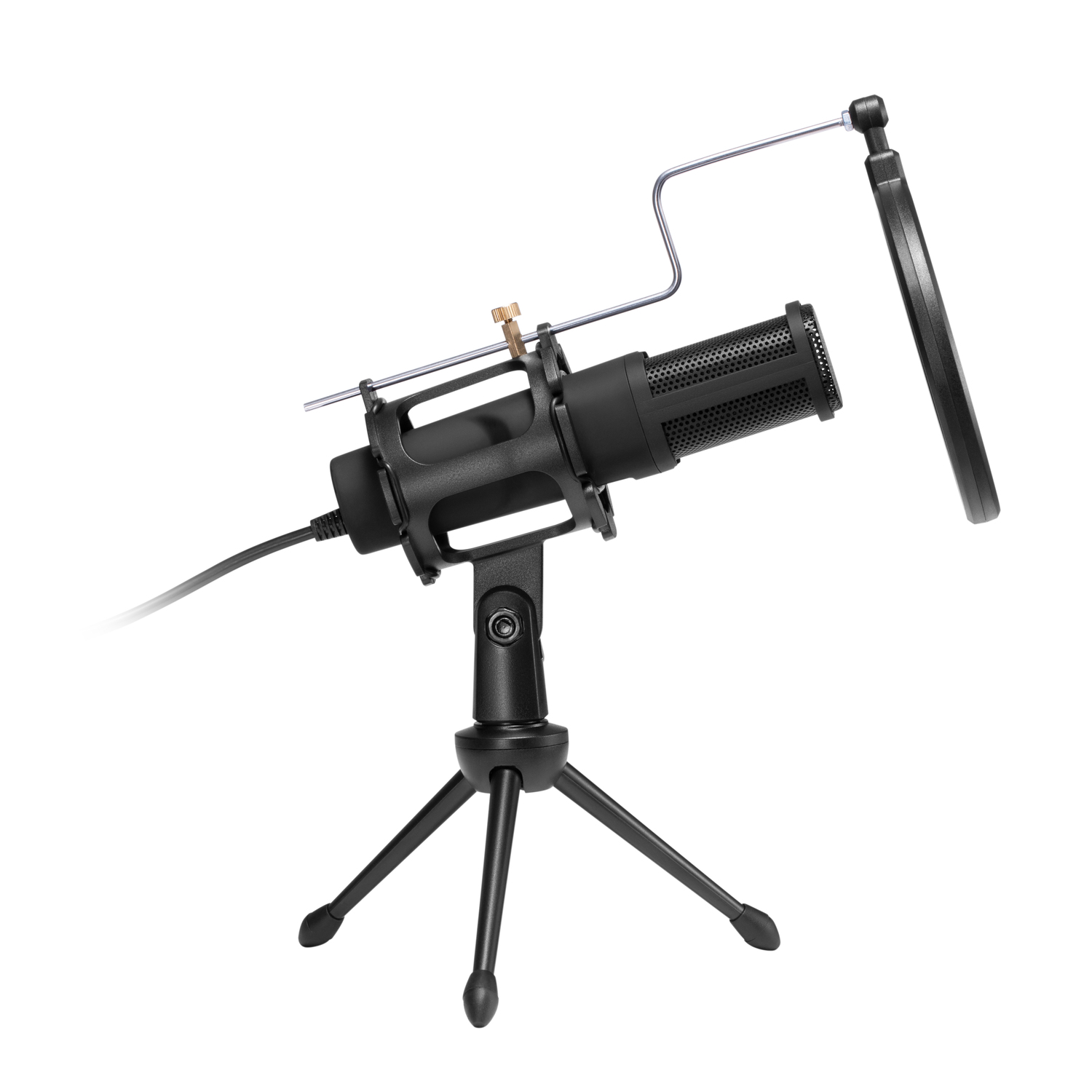 A black microphone on a stand with a pop filter. White background.