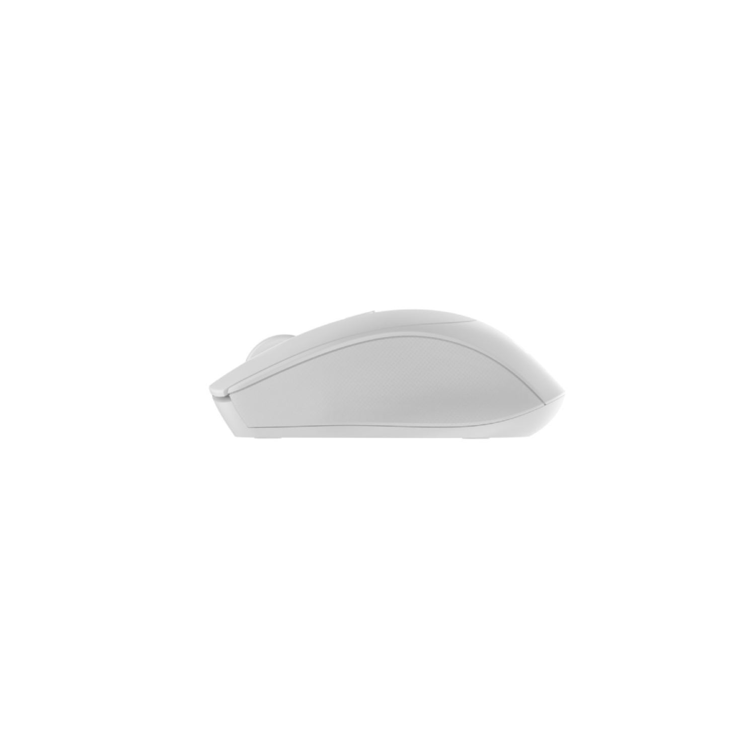 Une souris d'ordinateur blanche sur fond blanc. La souris est vue de côté.