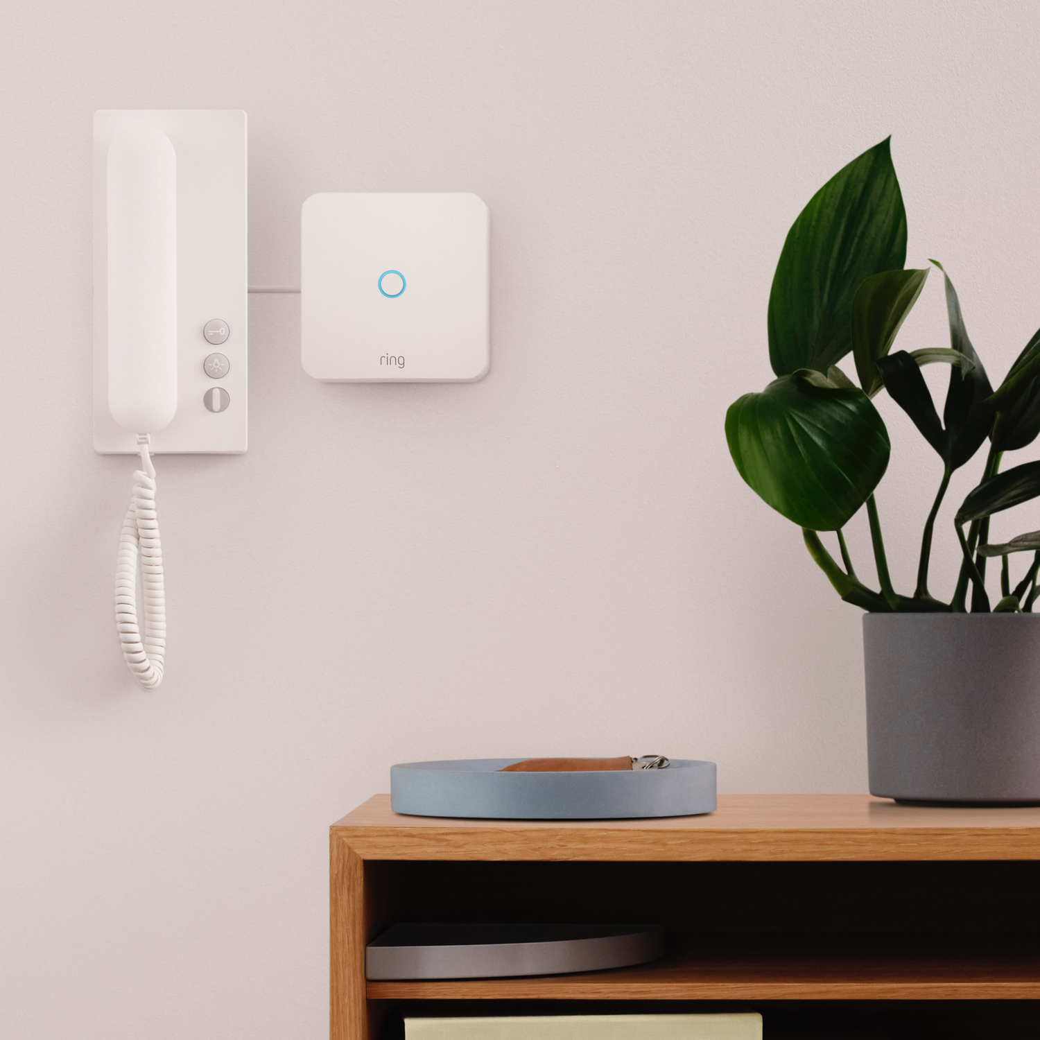 A white intercom system mounted on a wall with a plant and a tray.