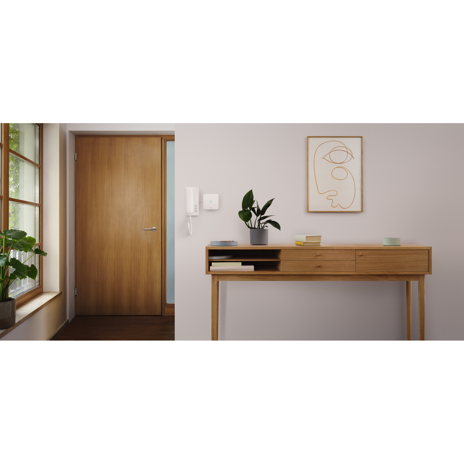 Interior scene with a wooden door, a console table with a plant and art, and a window.