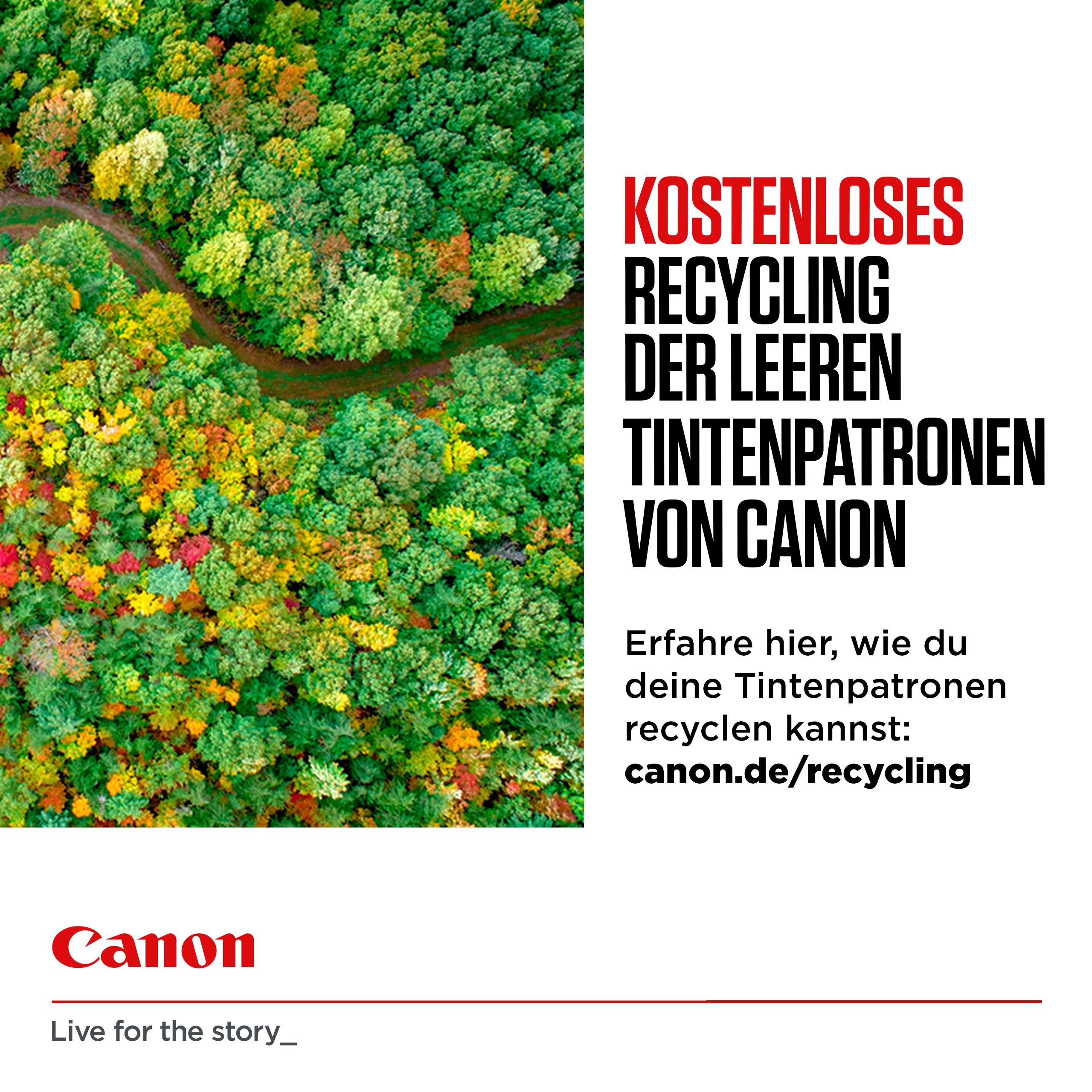 Luftaufnahme eines Waldes mit bunten Bäumen. Canon-Werbung für das Recycling von Tintenpatronen.