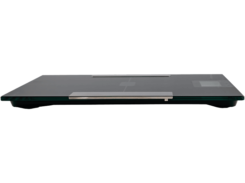 Vista 2