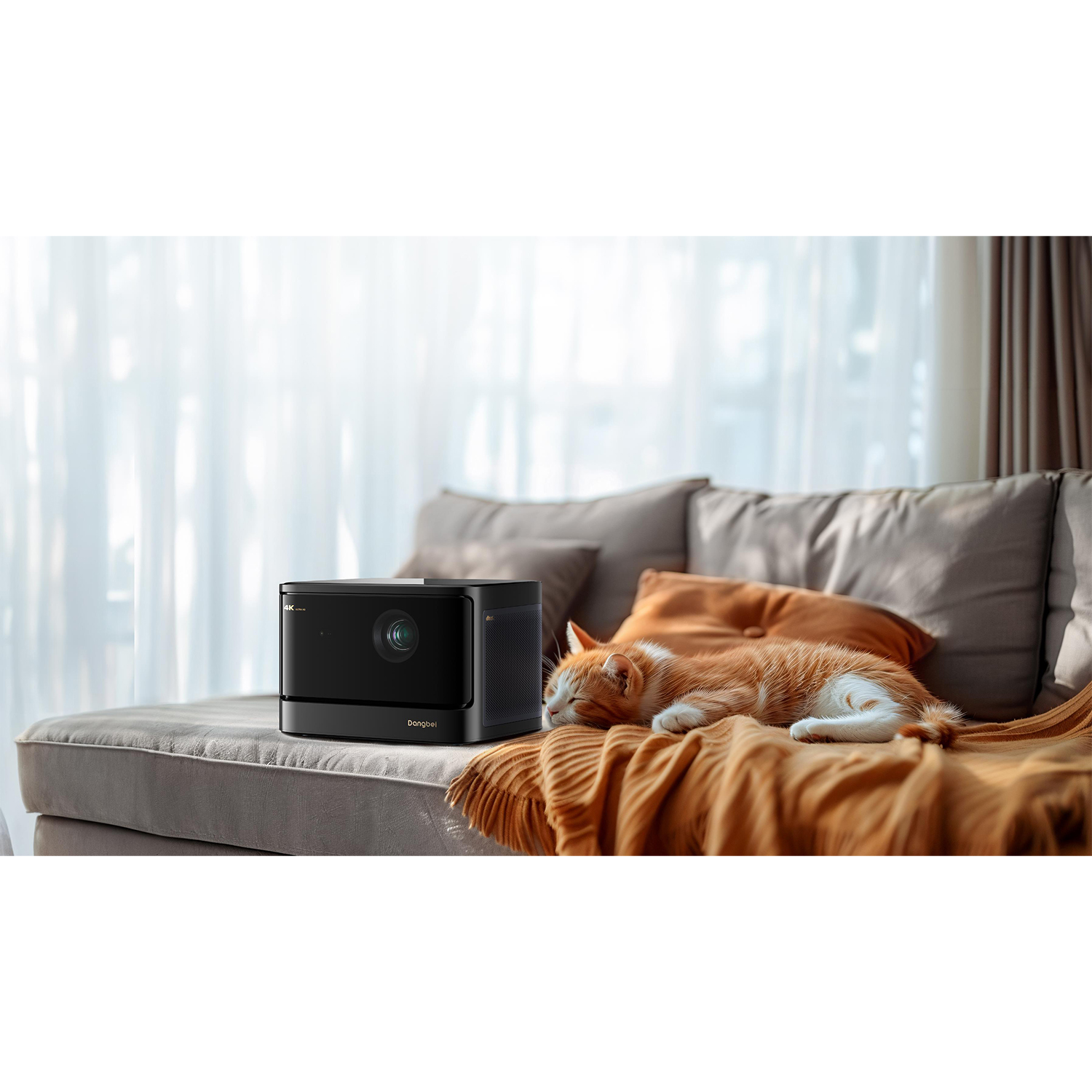Proiettore nero su divano grigio con gatto sulla coperta. Finestra luminosa.