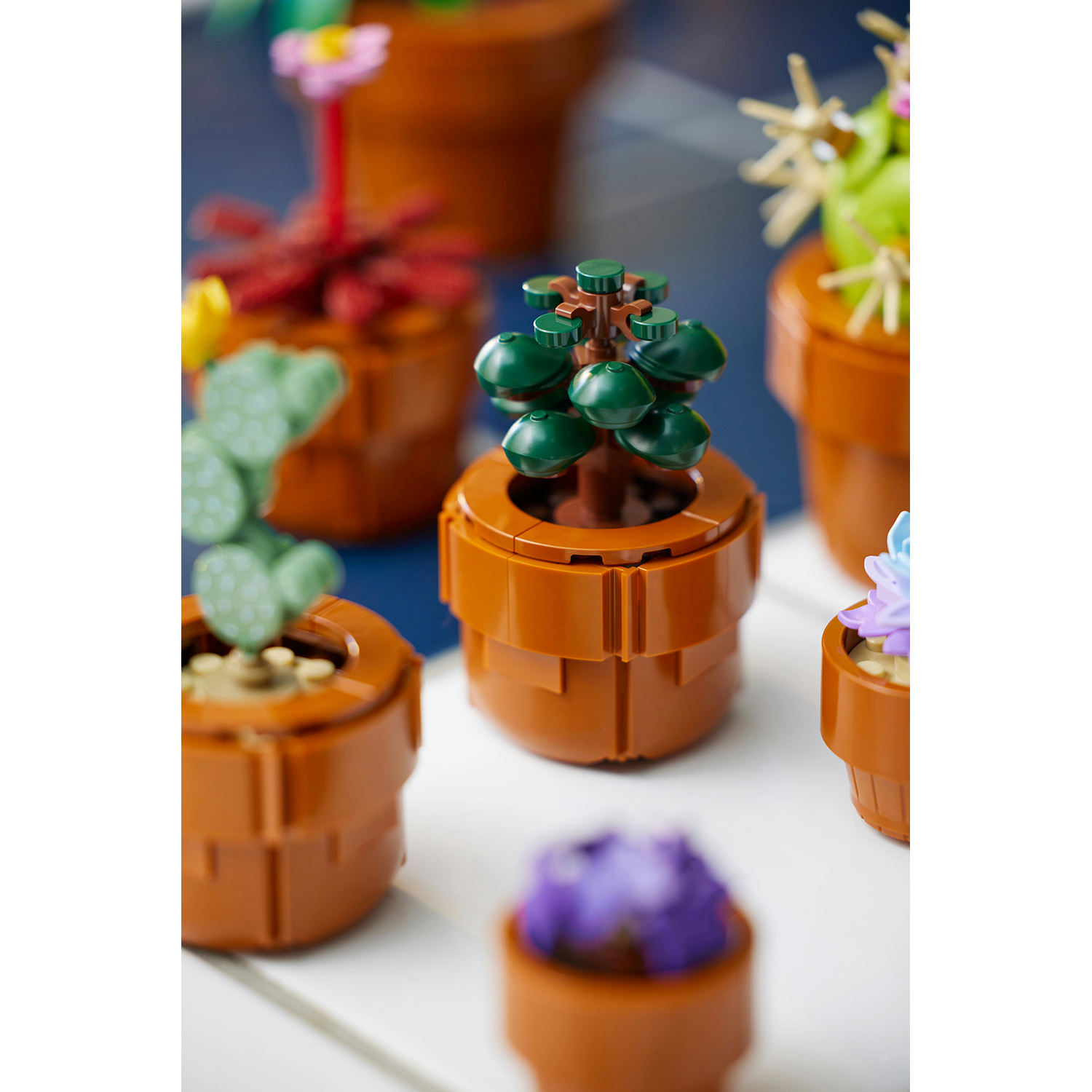 Primo piano di piante in vaso. Vari fiori e cactus LEGO colorati disposti su una superficie bianca.