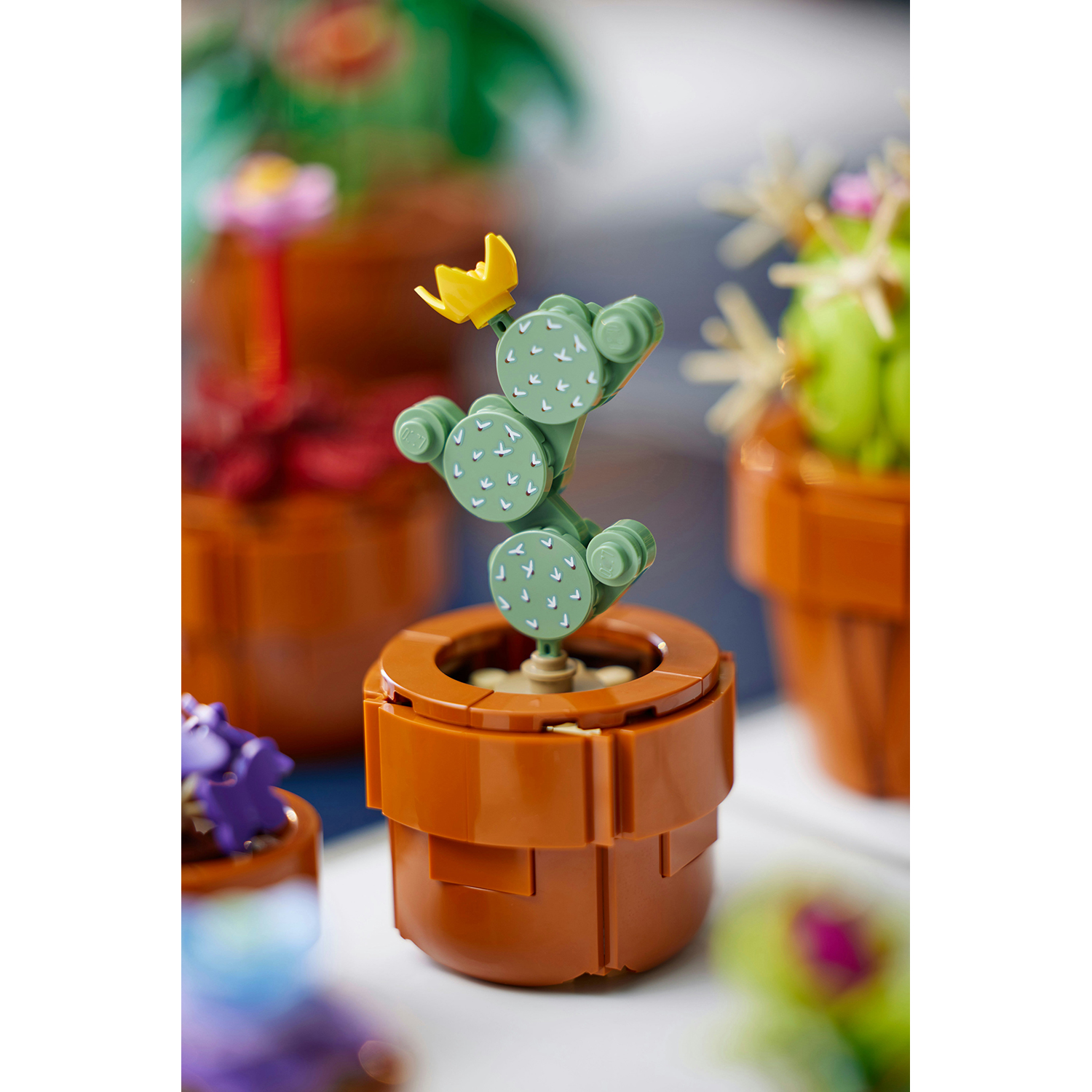 Modello di cactus LEGO in un vaso marrone, circondato da altre piante LEGO. Sfondo bianco.